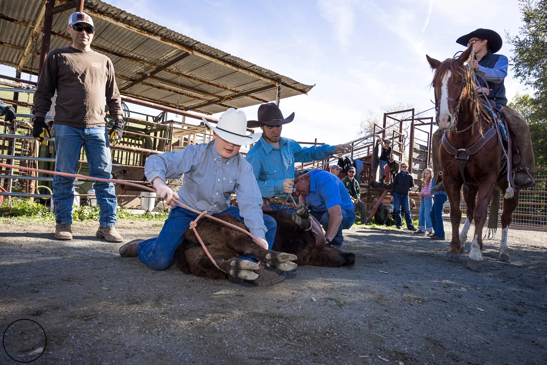 2026 CTC Branding-102.jpg