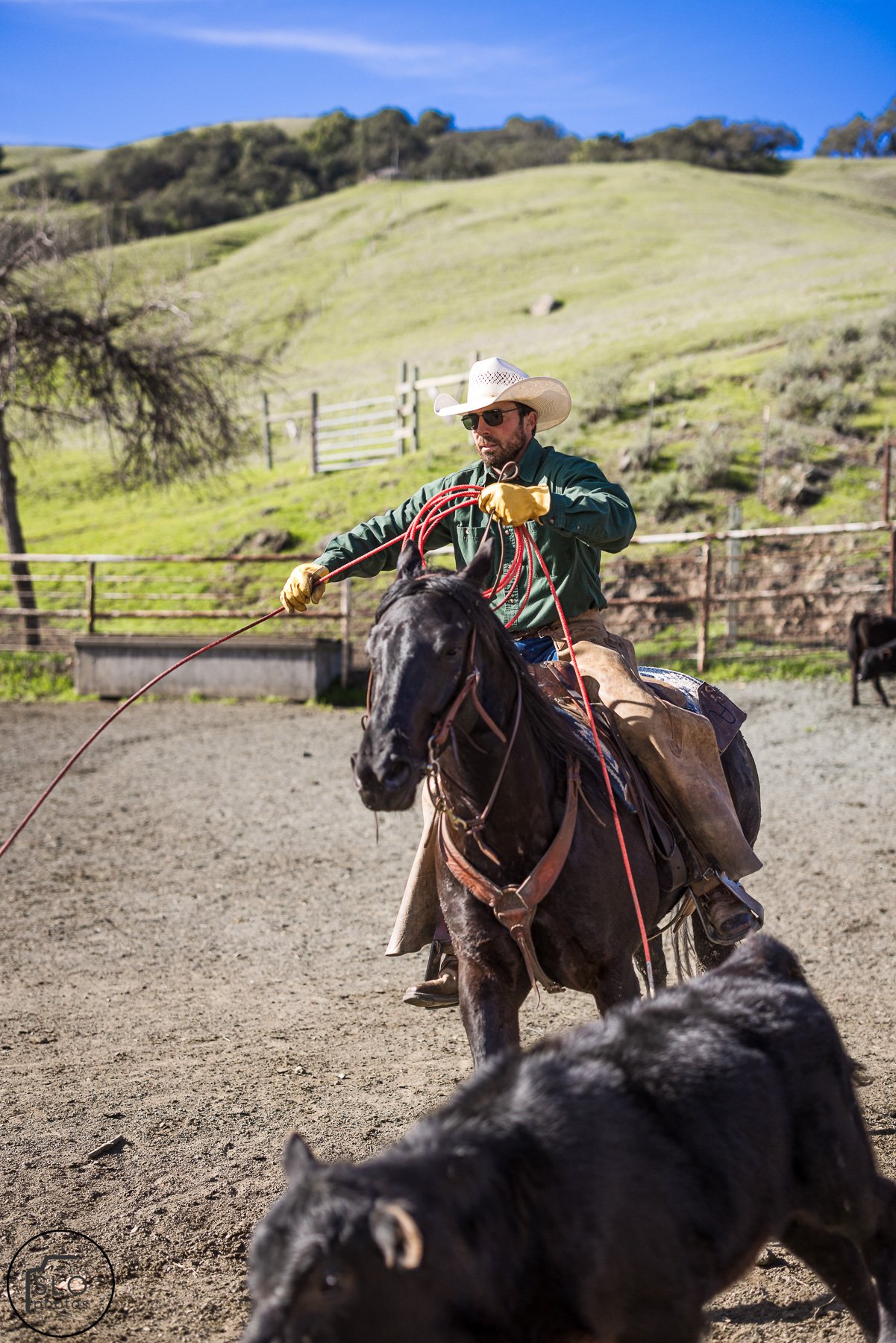 2026 CTC Branding-029.jpg