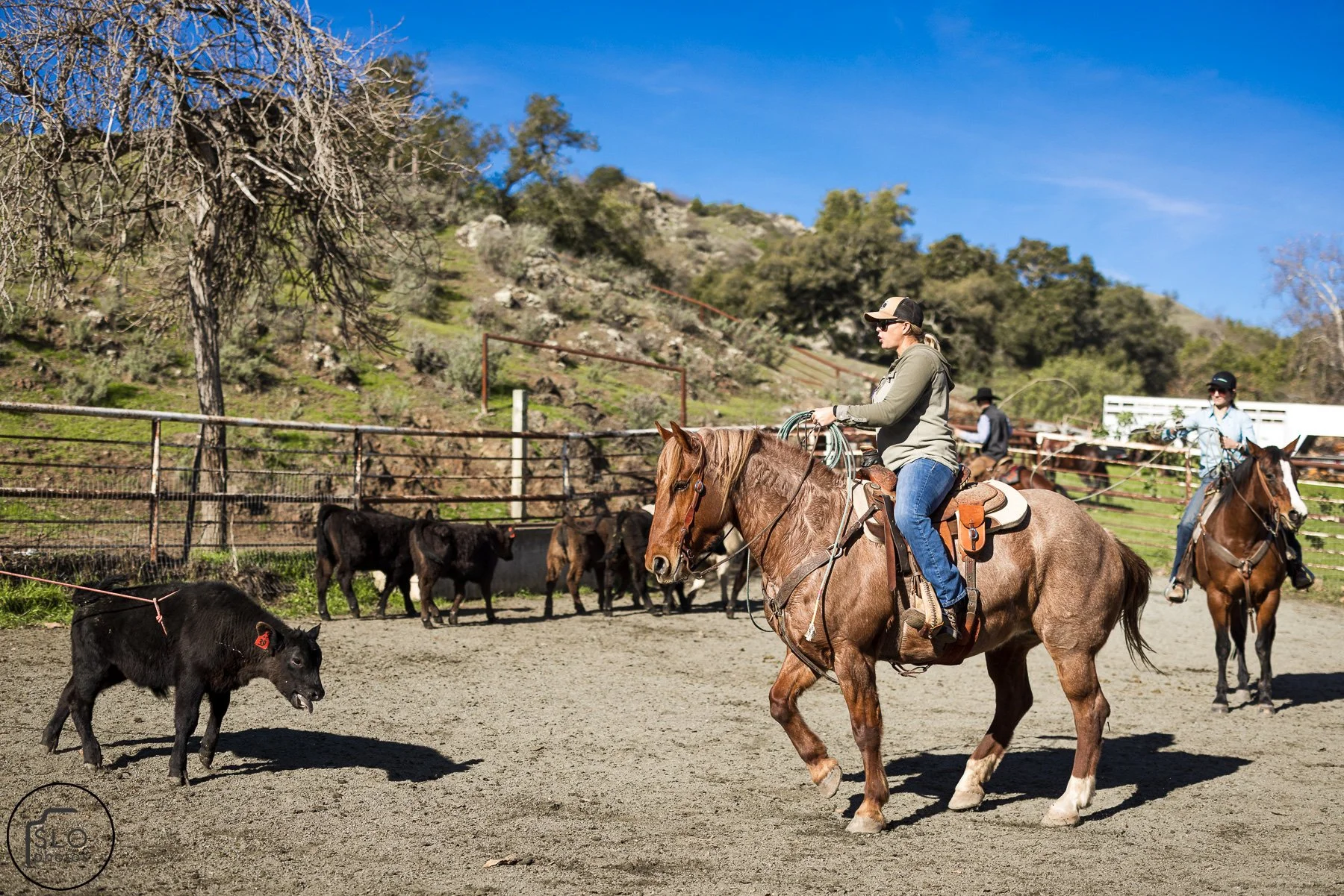 2026 CTC Branding-039.jpg