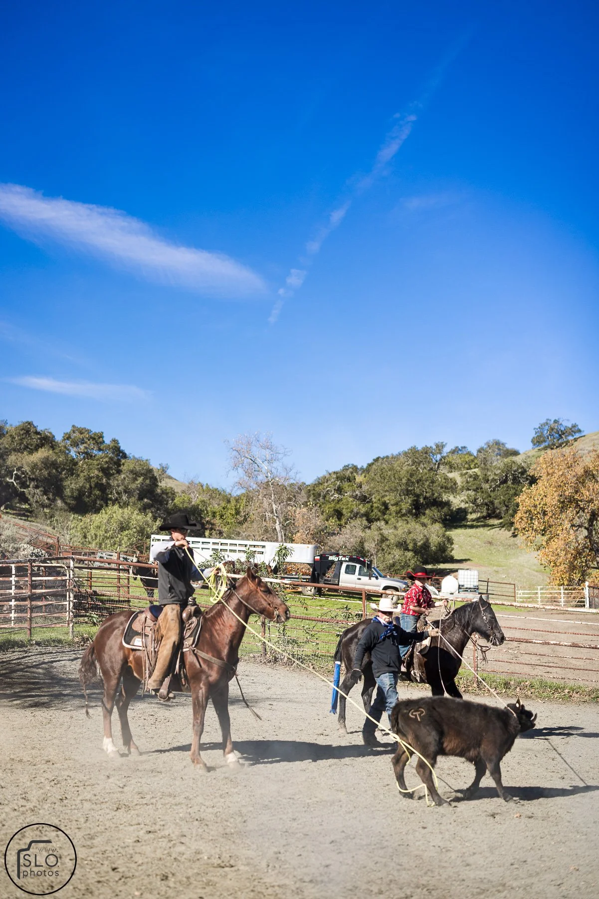 2026 CTC Branding-220.jpg