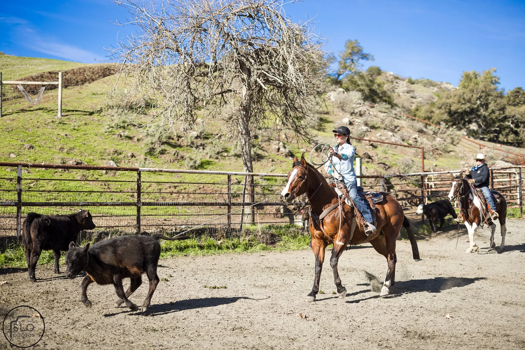 2026 CTC Branding-055.jpg