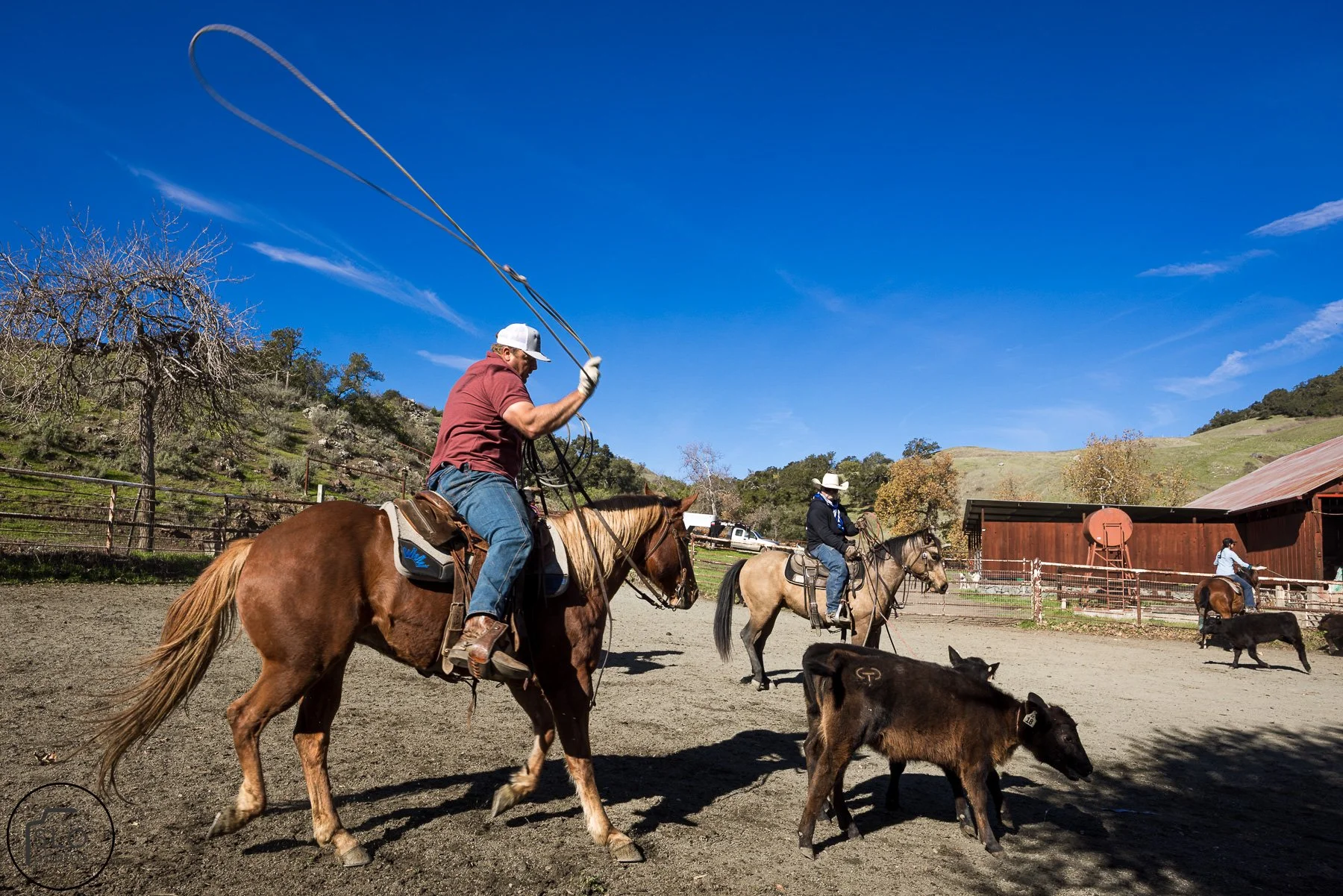 2026 CTC Branding-130.jpg