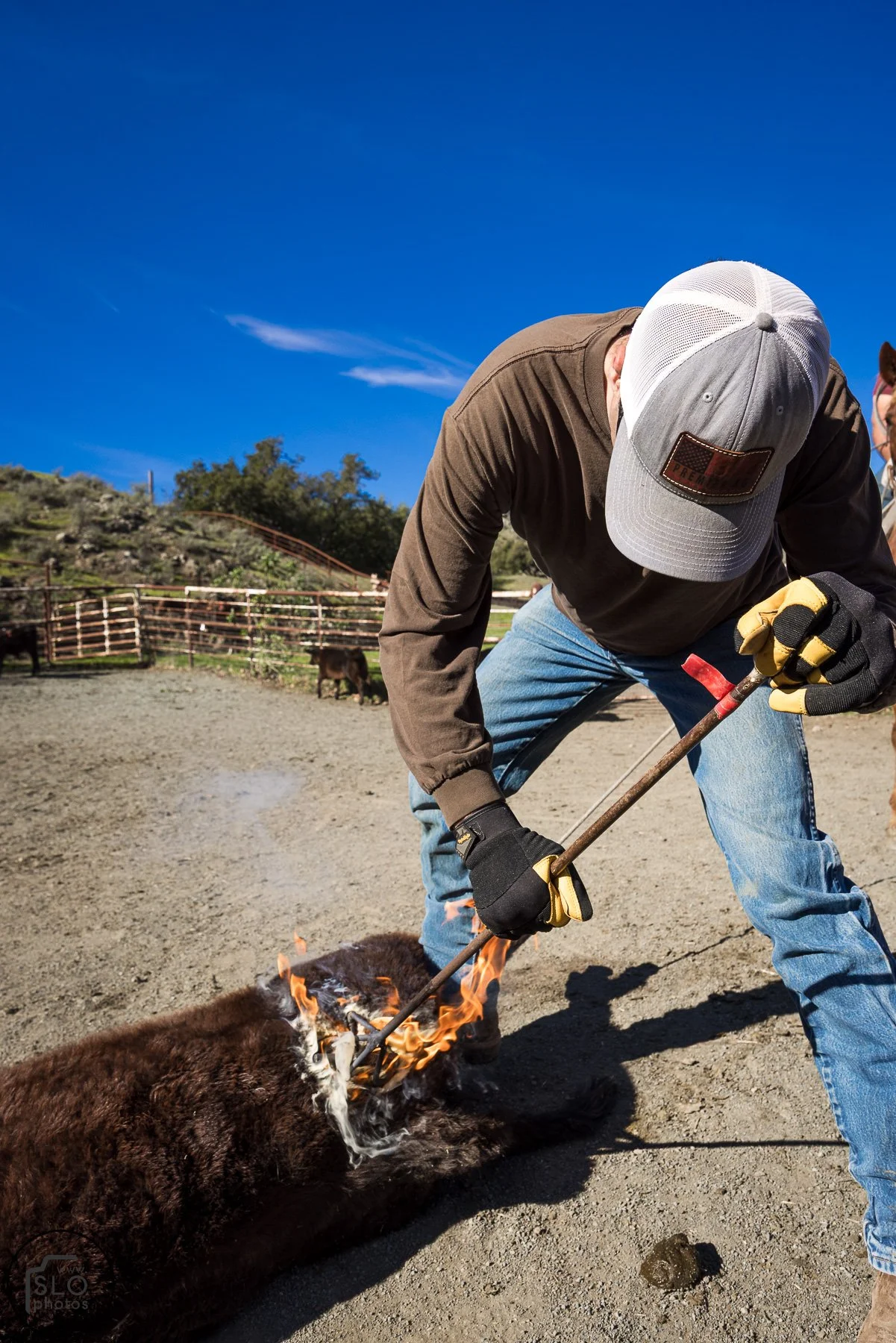 2026 CTC Branding-135.jpg