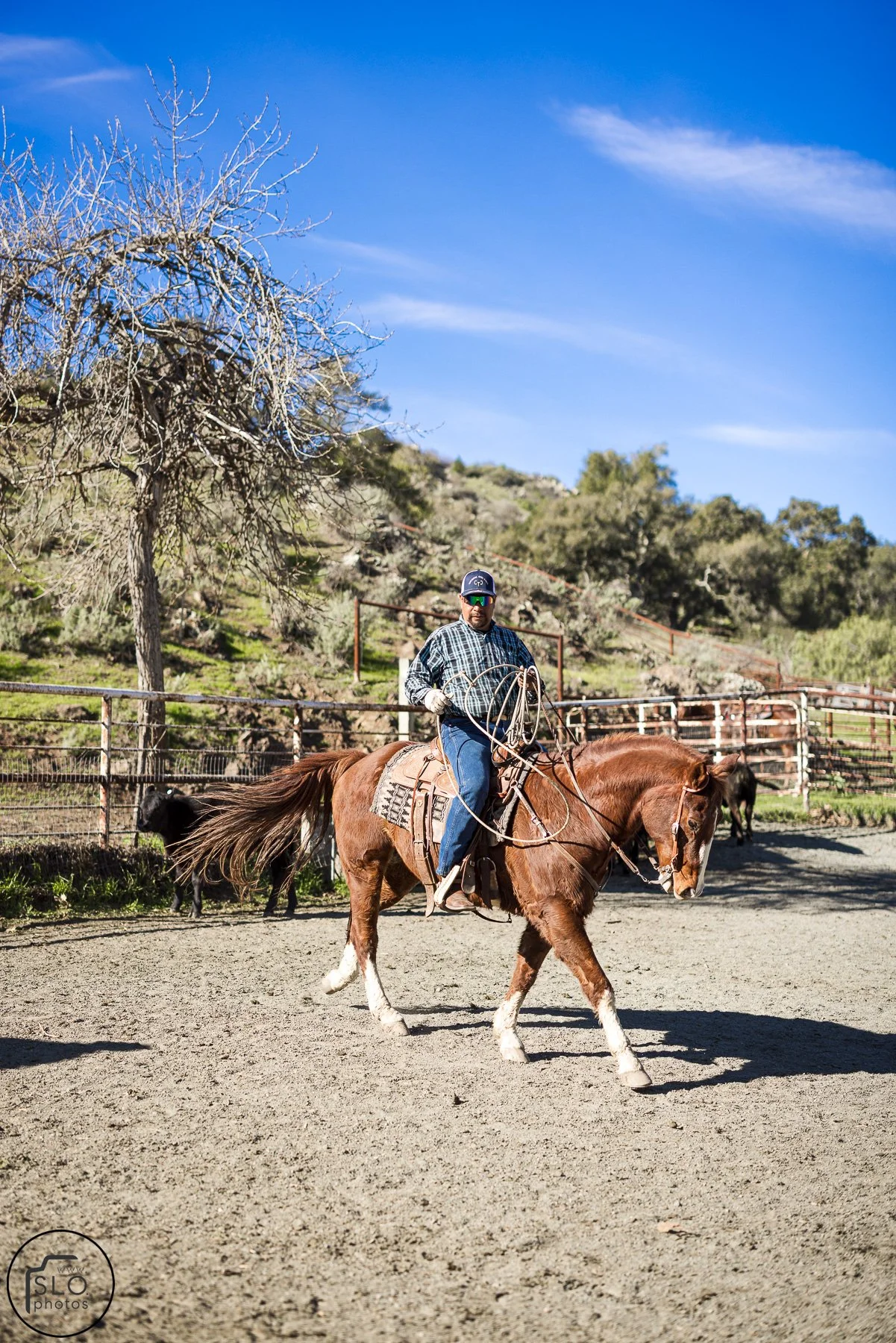 2026 CTC Branding-221.jpg