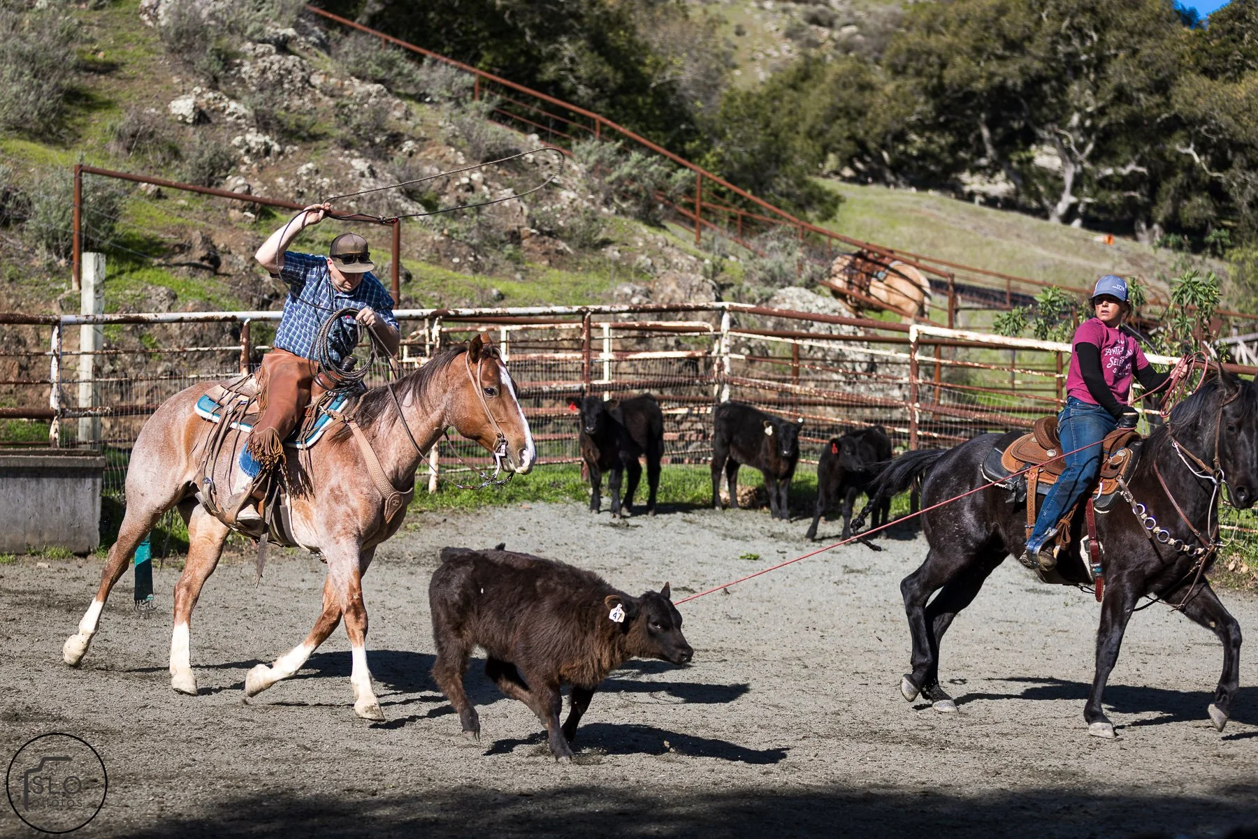 2026 CTC Branding-016.jpg