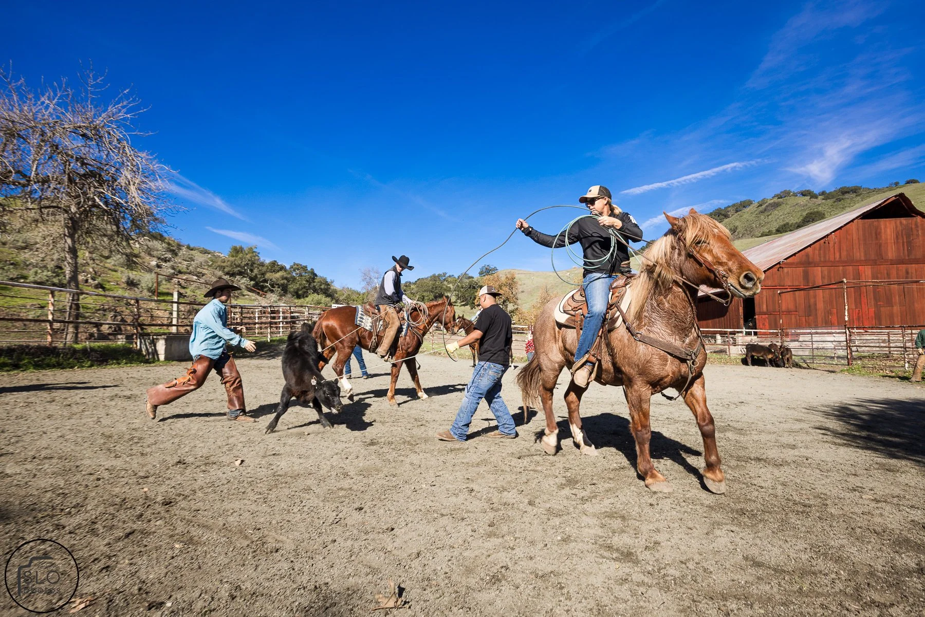 2026 CTC Branding-113.jpg