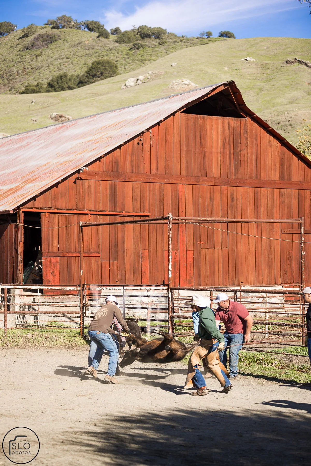 2026 CTC Branding-083.jpg