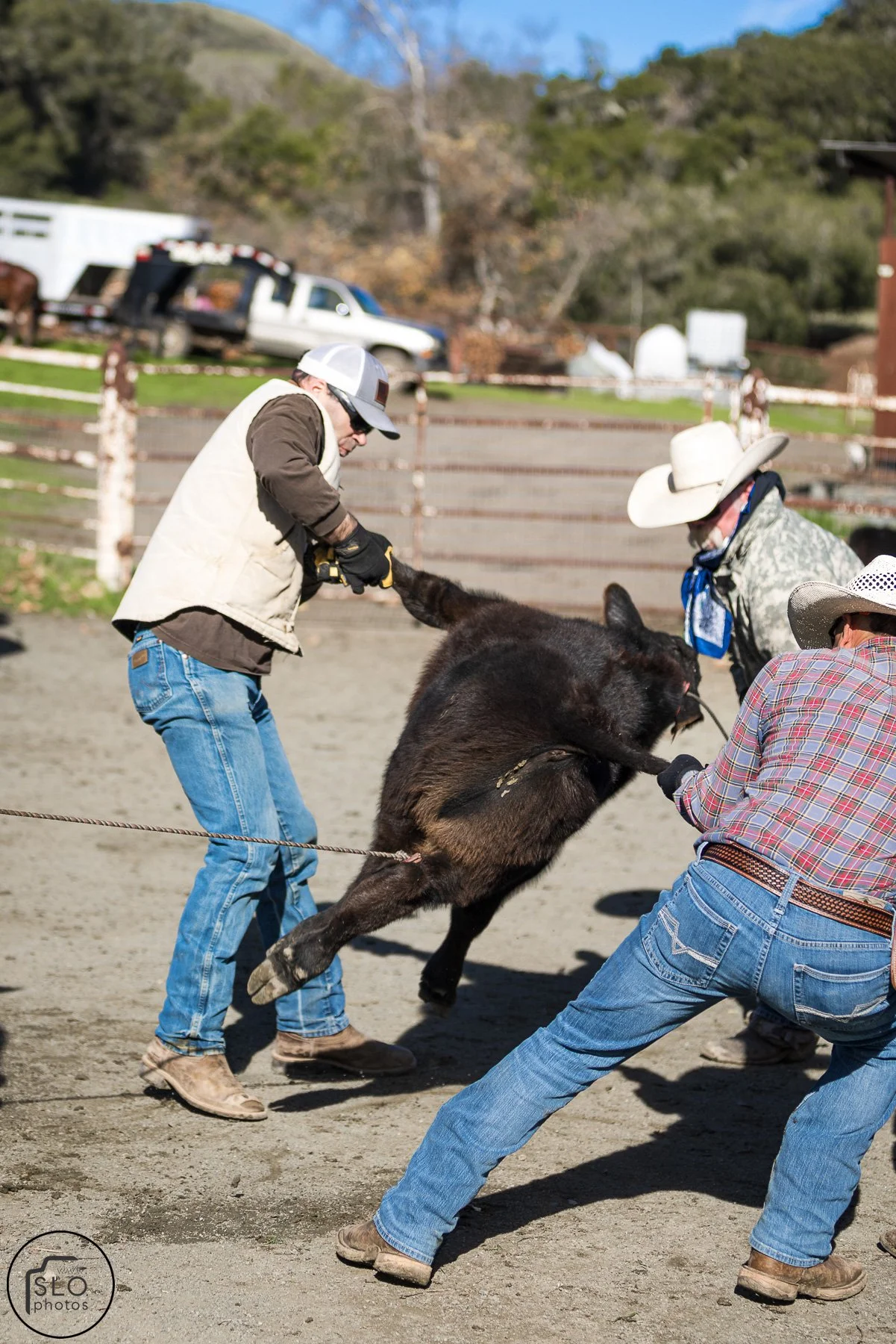 2026 CTC Branding-007.jpg