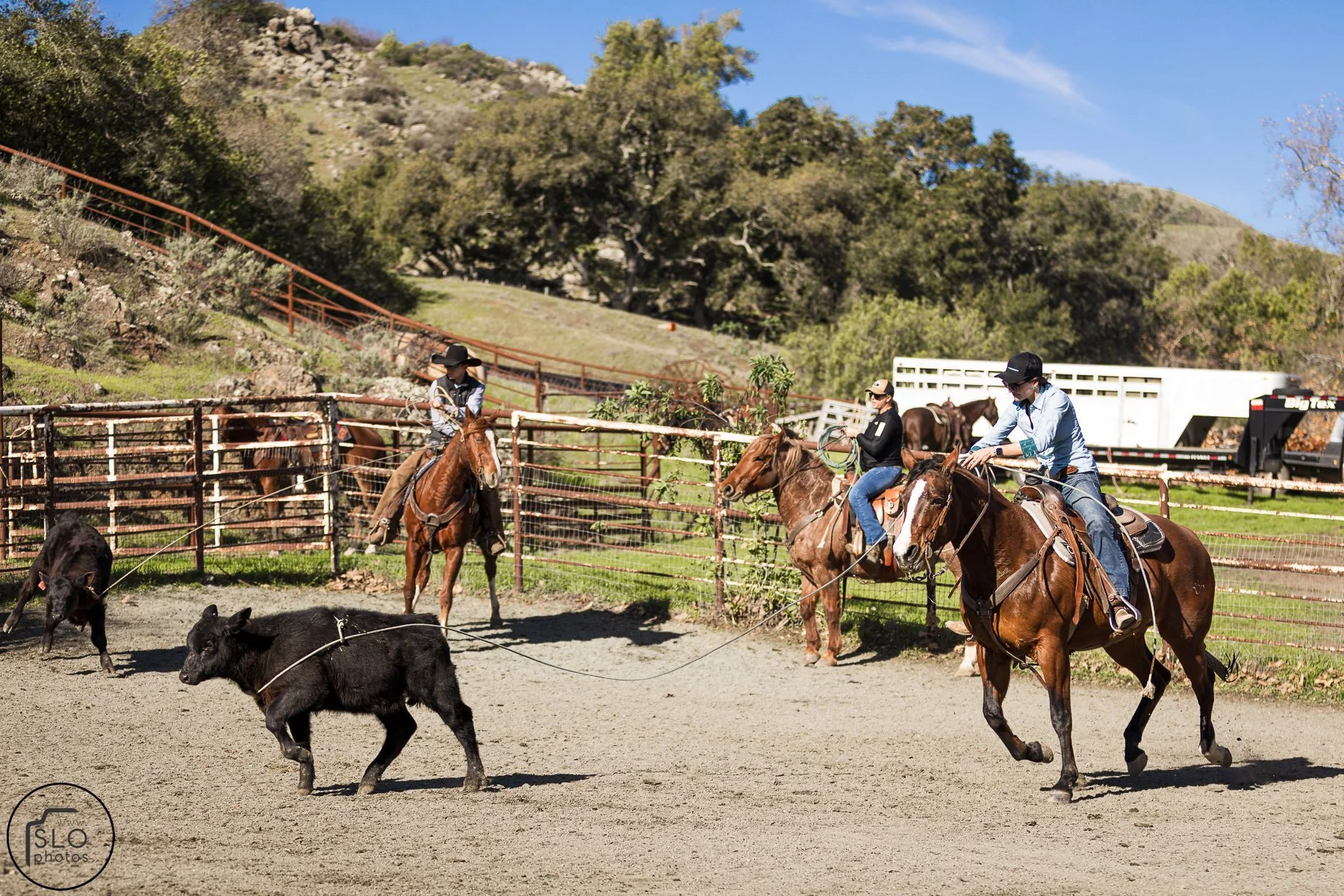 2026 CTC Branding-071.jpg