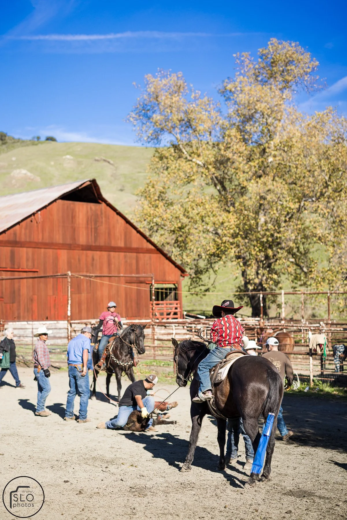 2026 CTC Branding-204.jpg