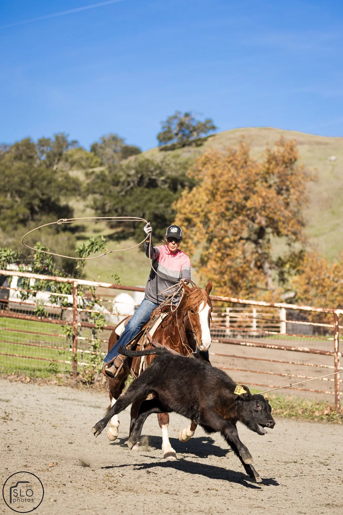 2026 CTC Branding-084.jpg