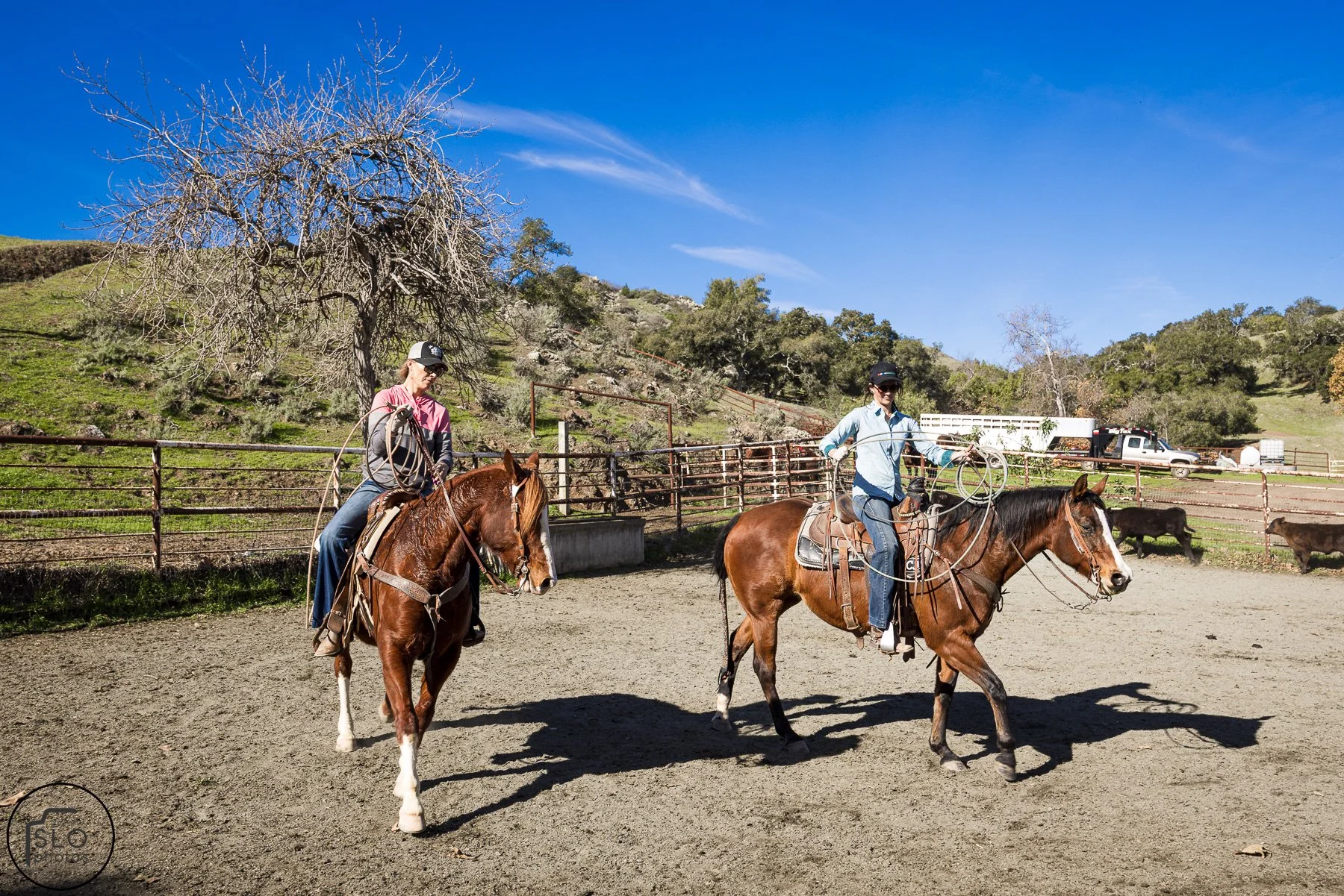 2026 CTC Branding-111.jpg