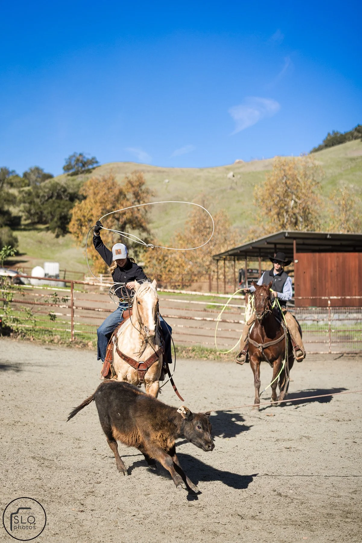 2026 CTC Branding-207.jpg