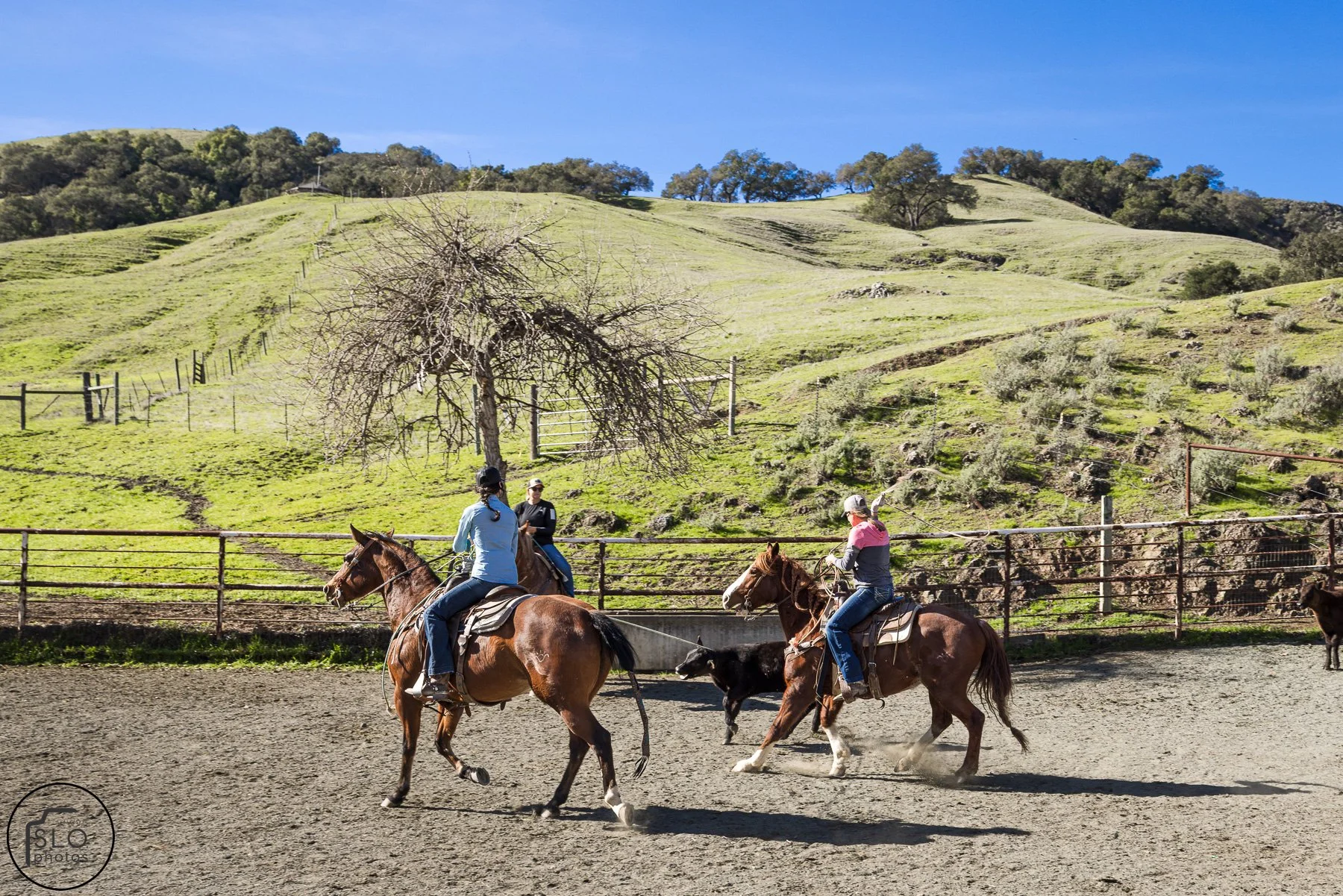 2026 CTC Branding-105.jpg