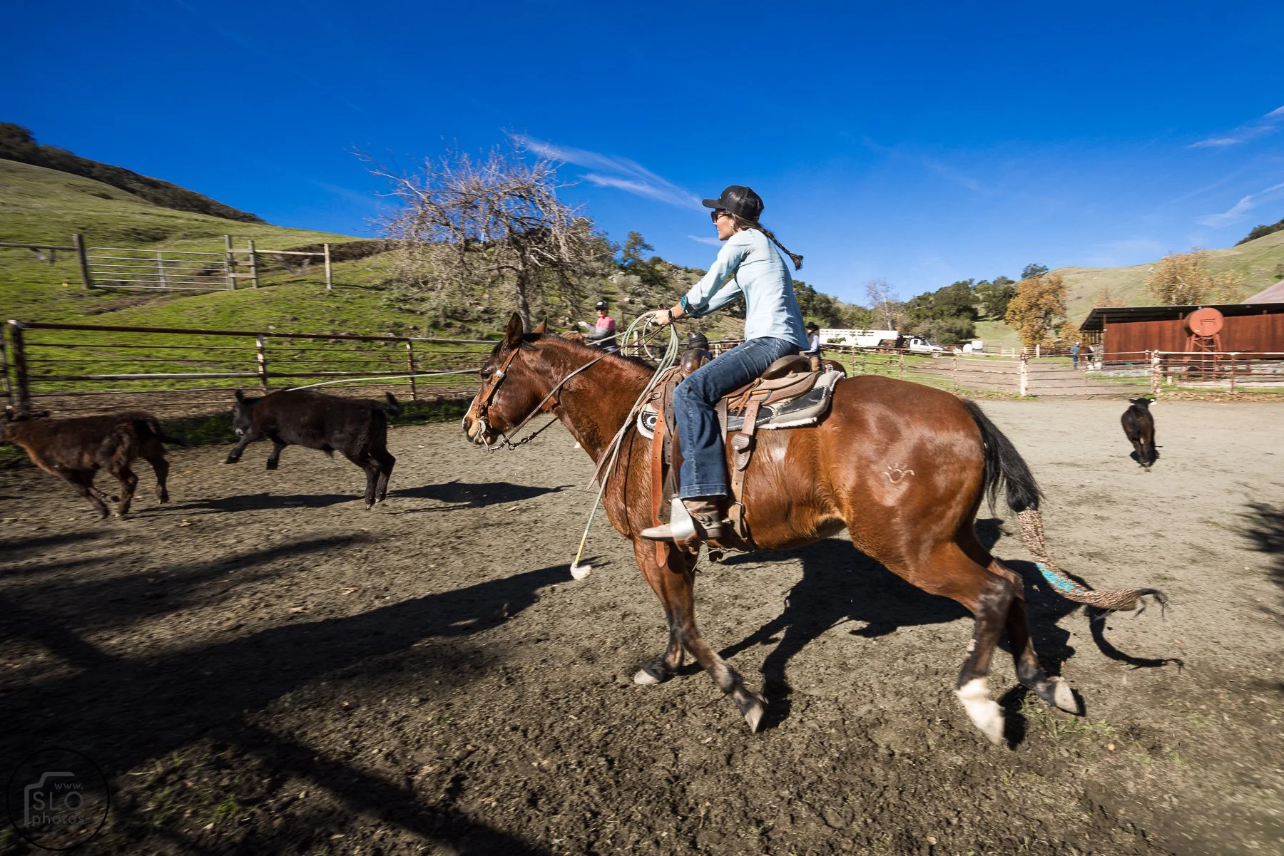 2026 CTC Branding-123.jpg