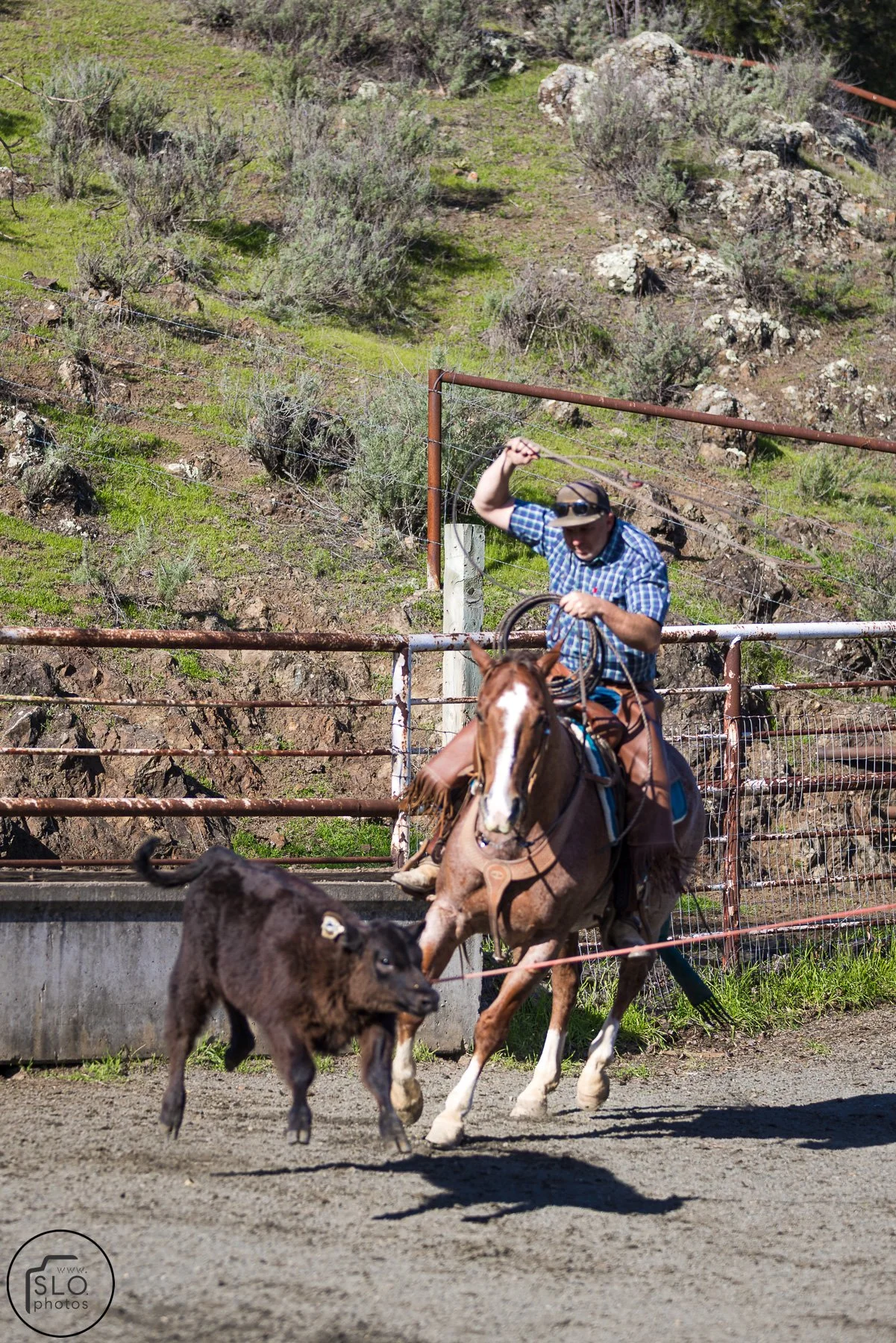 2026 CTC Branding-015.jpg