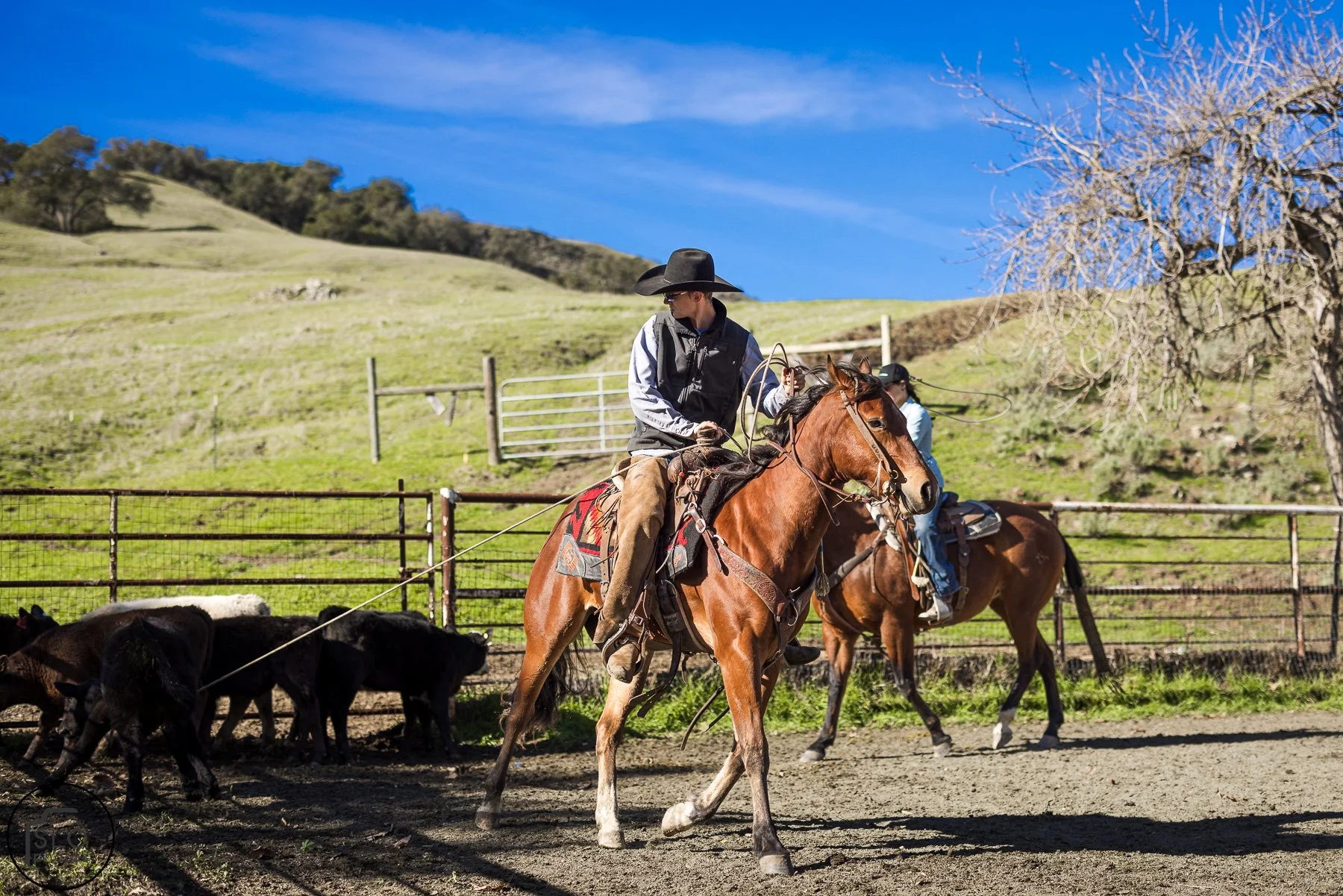 2026 CTC Branding-041.jpg