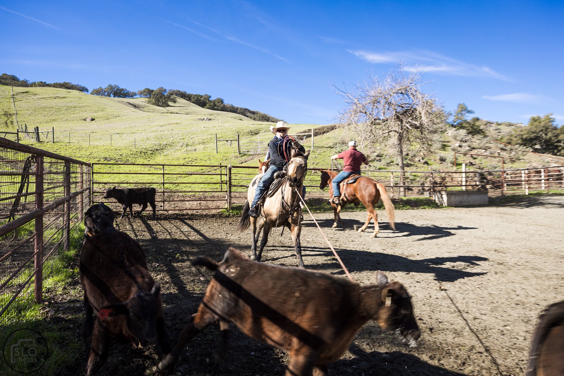 2026 CTC Branding-132.jpg