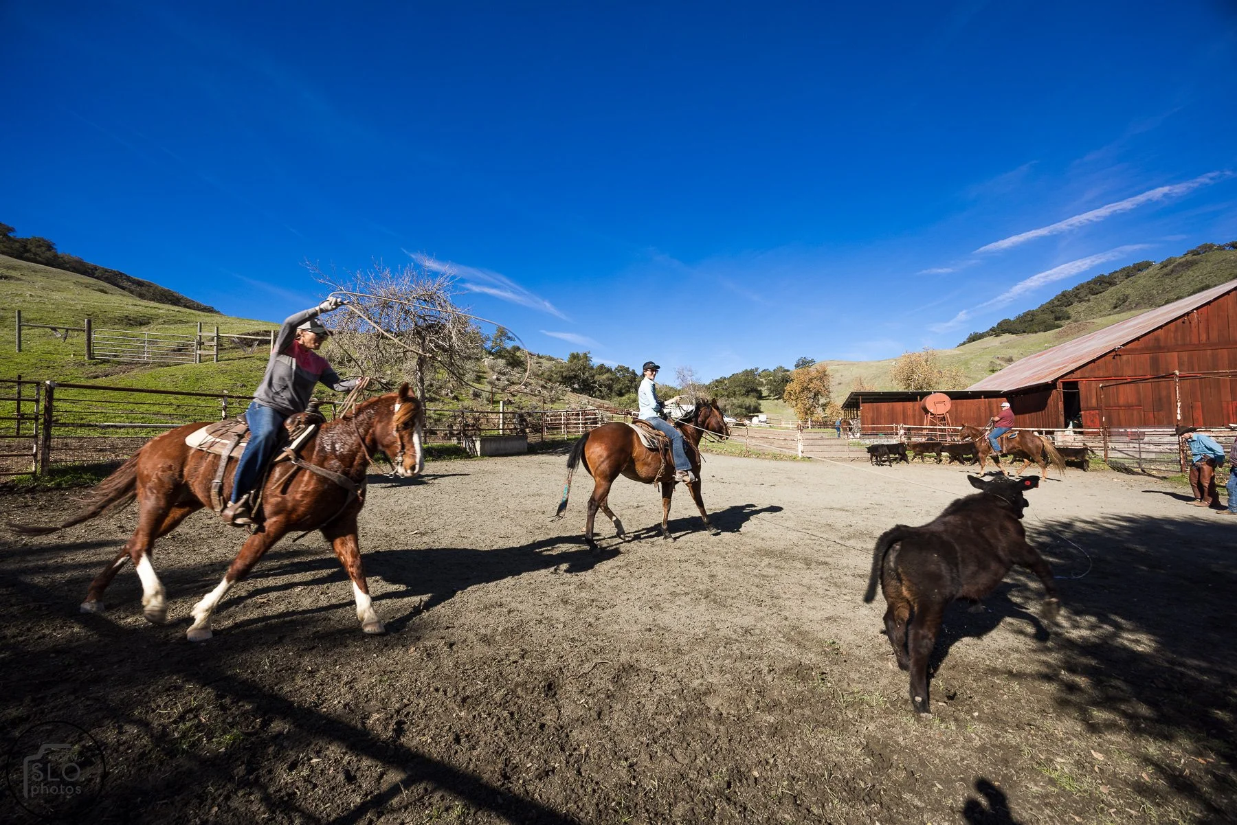 2026 CTC Branding-126.jpg