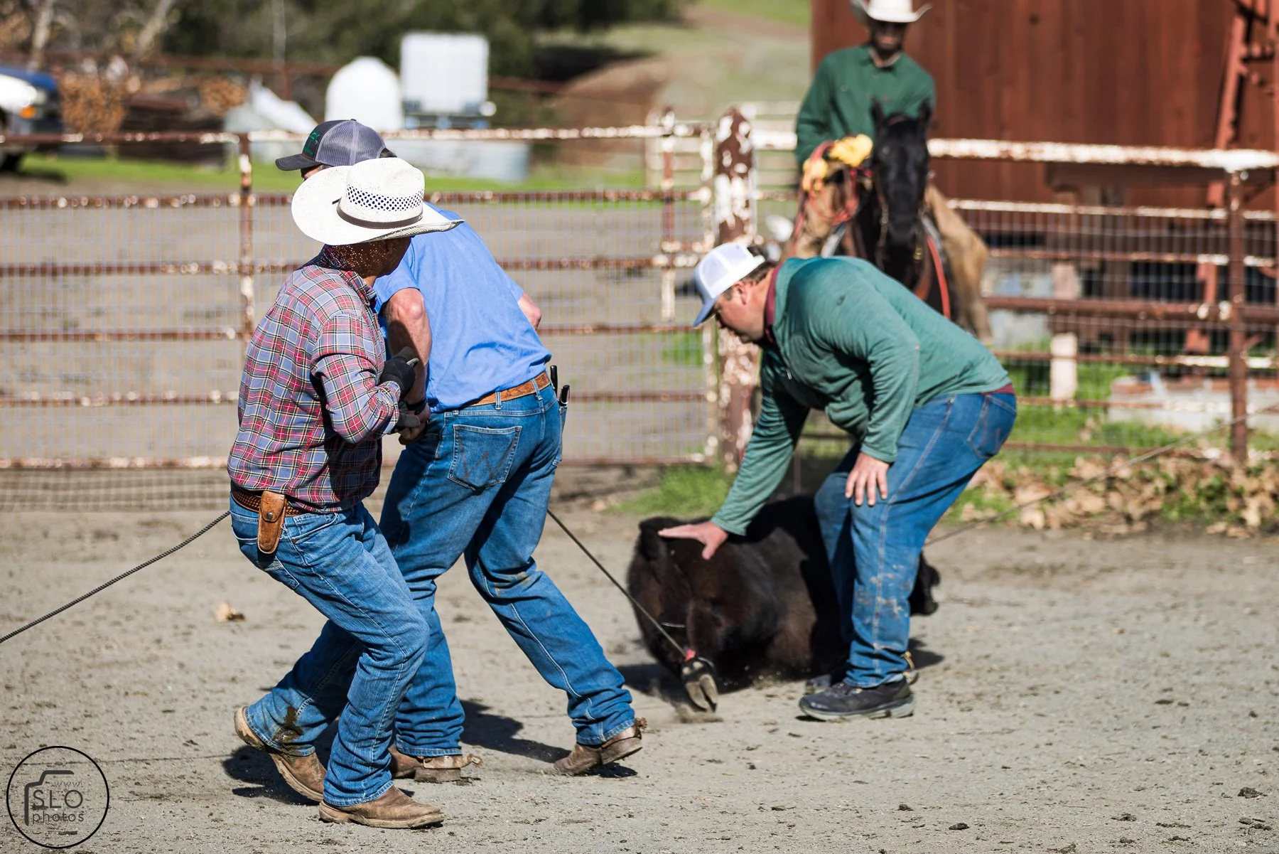 2026 CTC Branding-010.jpg