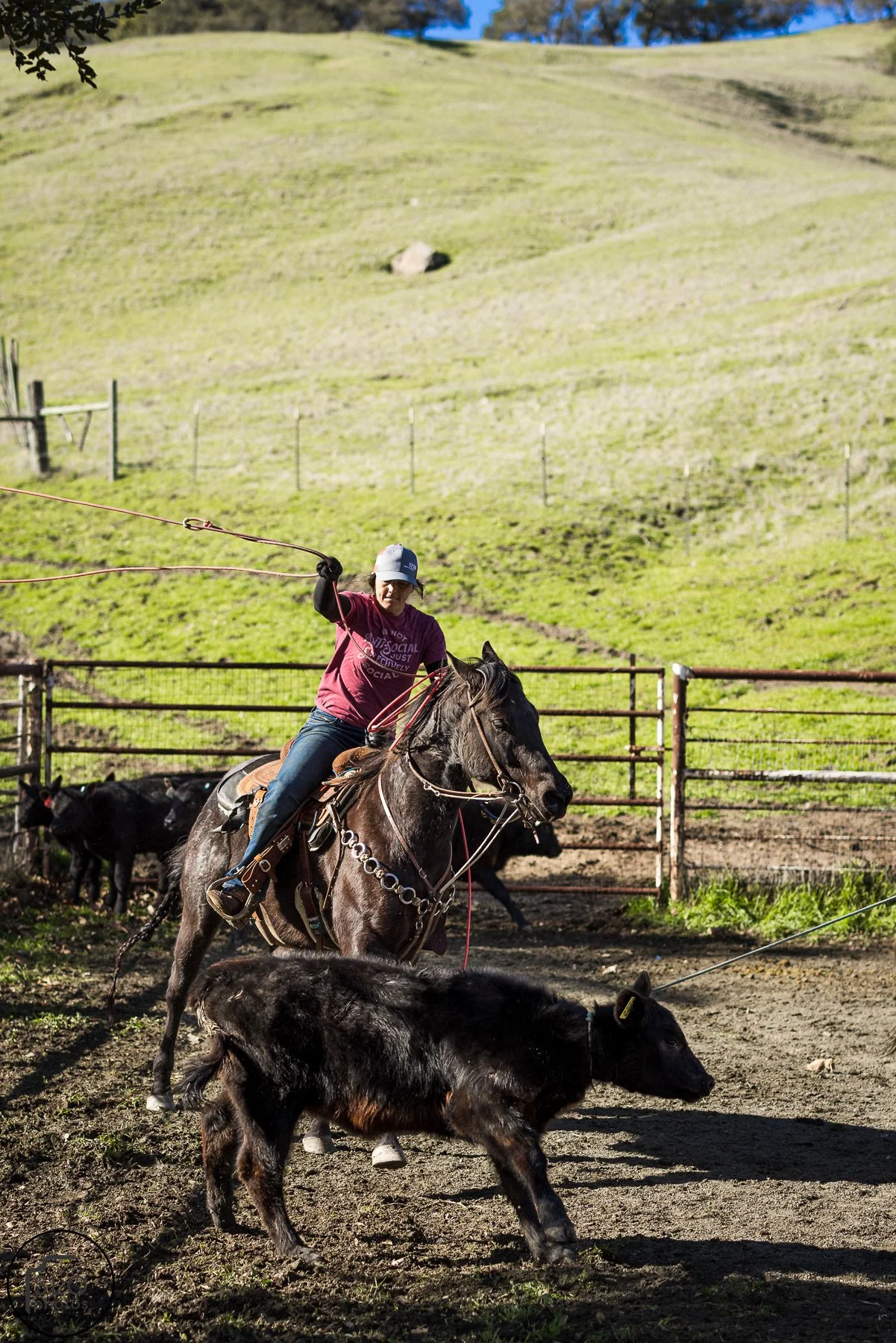 2026 CTC Branding-035.jpg