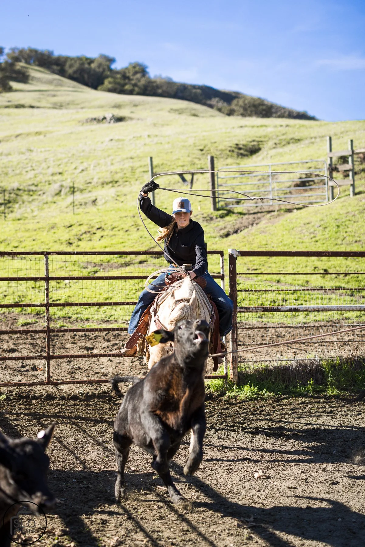 2026 CTC Branding-222.jpg