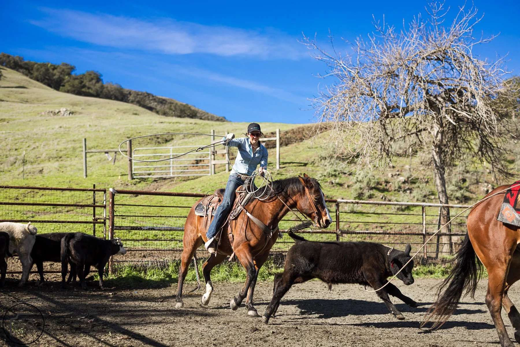 2026 CTC Branding-043.jpg