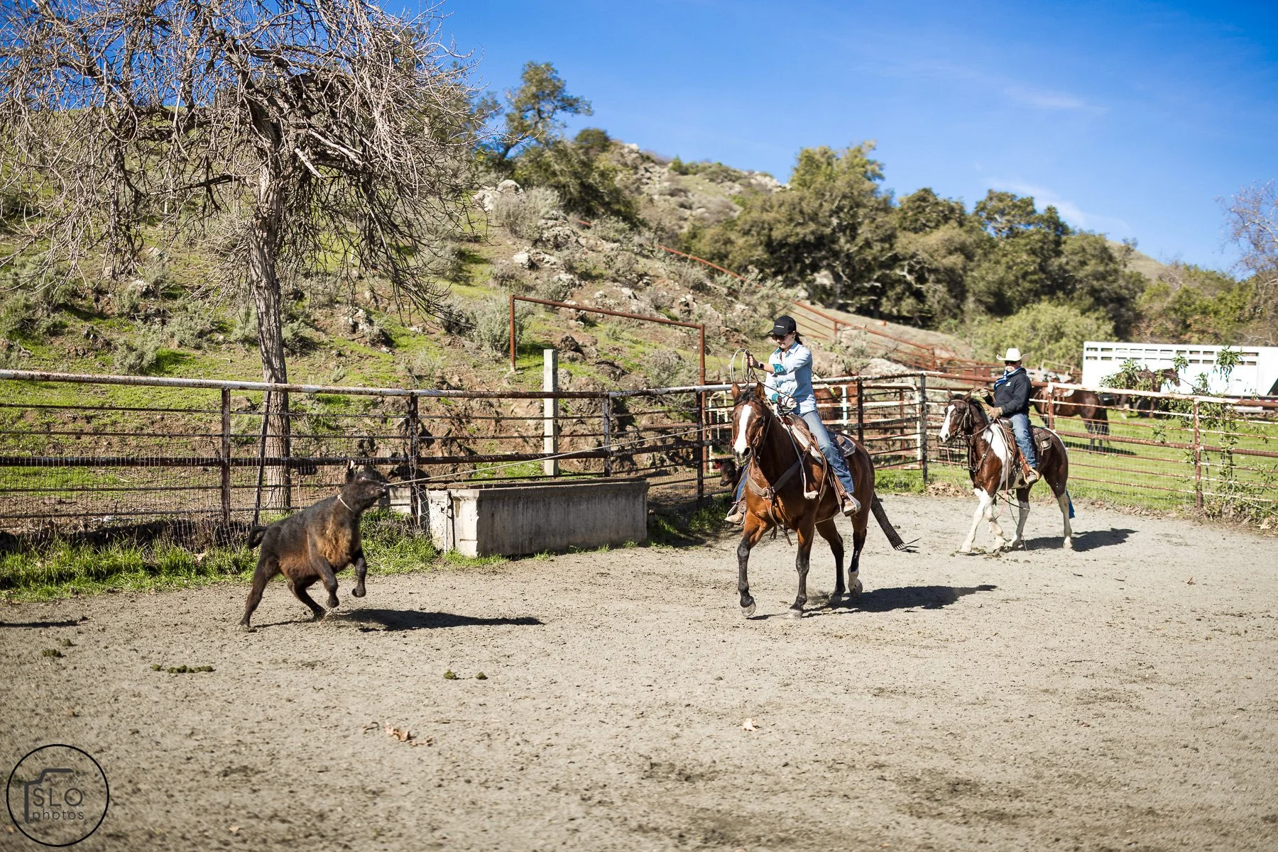 2026 CTC Branding-053.jpg