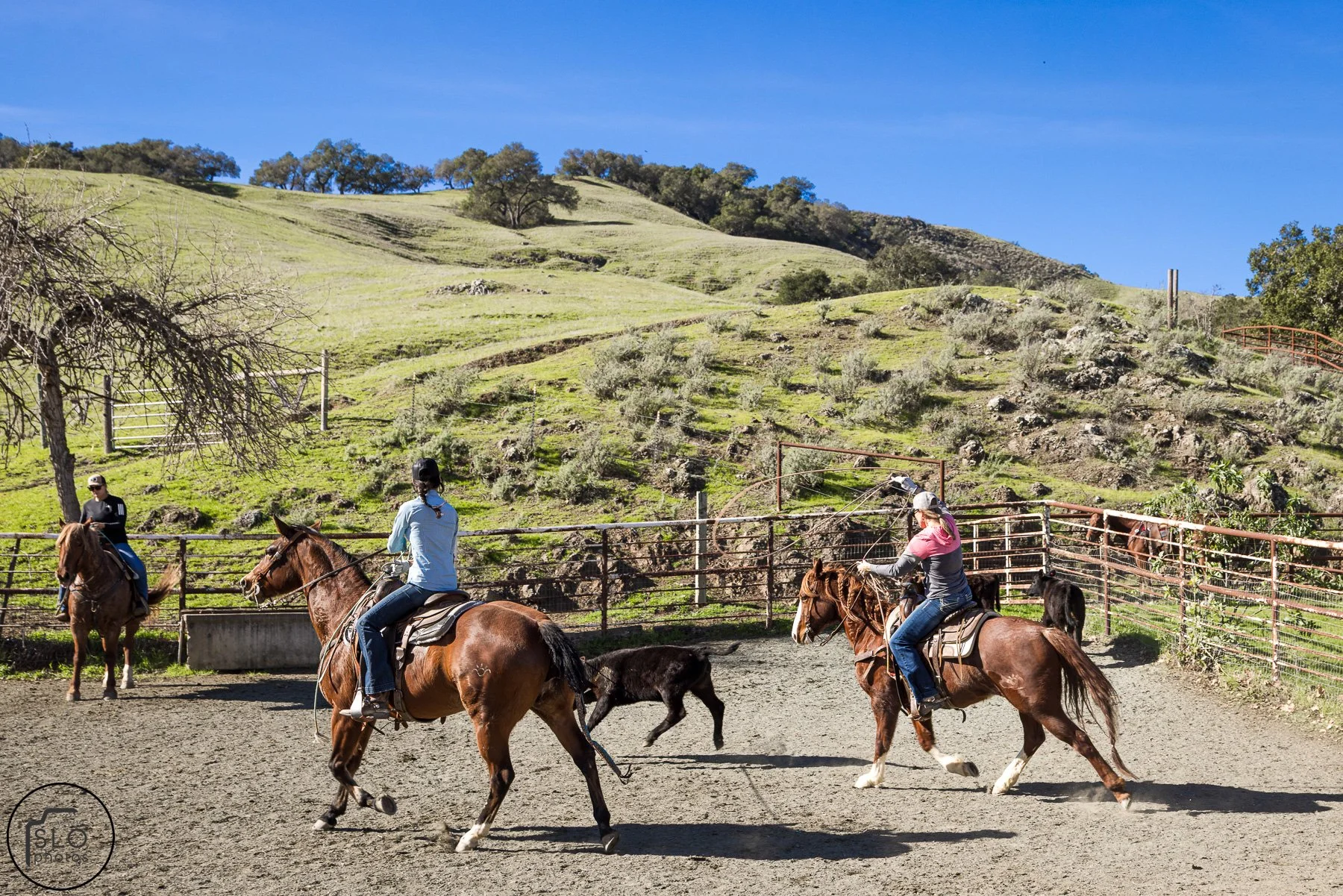 2026 CTC Branding-104.jpg