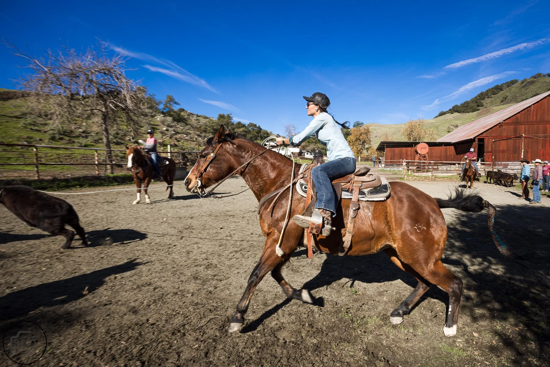 2026 CTC Branding-122.jpg