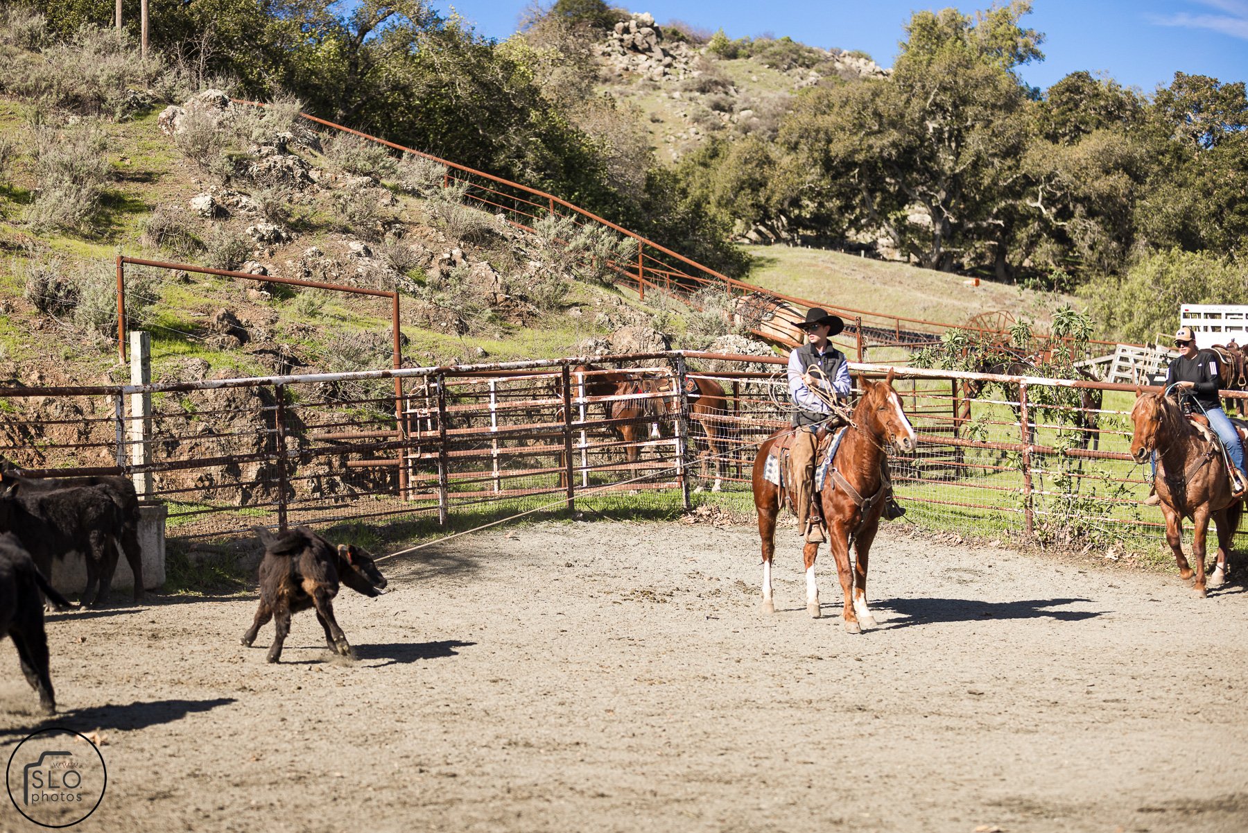 2026 CTC Branding-075.jpg