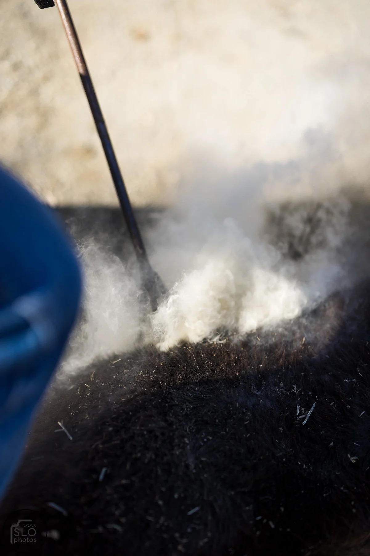 2026 CTC Branding-191.jpg