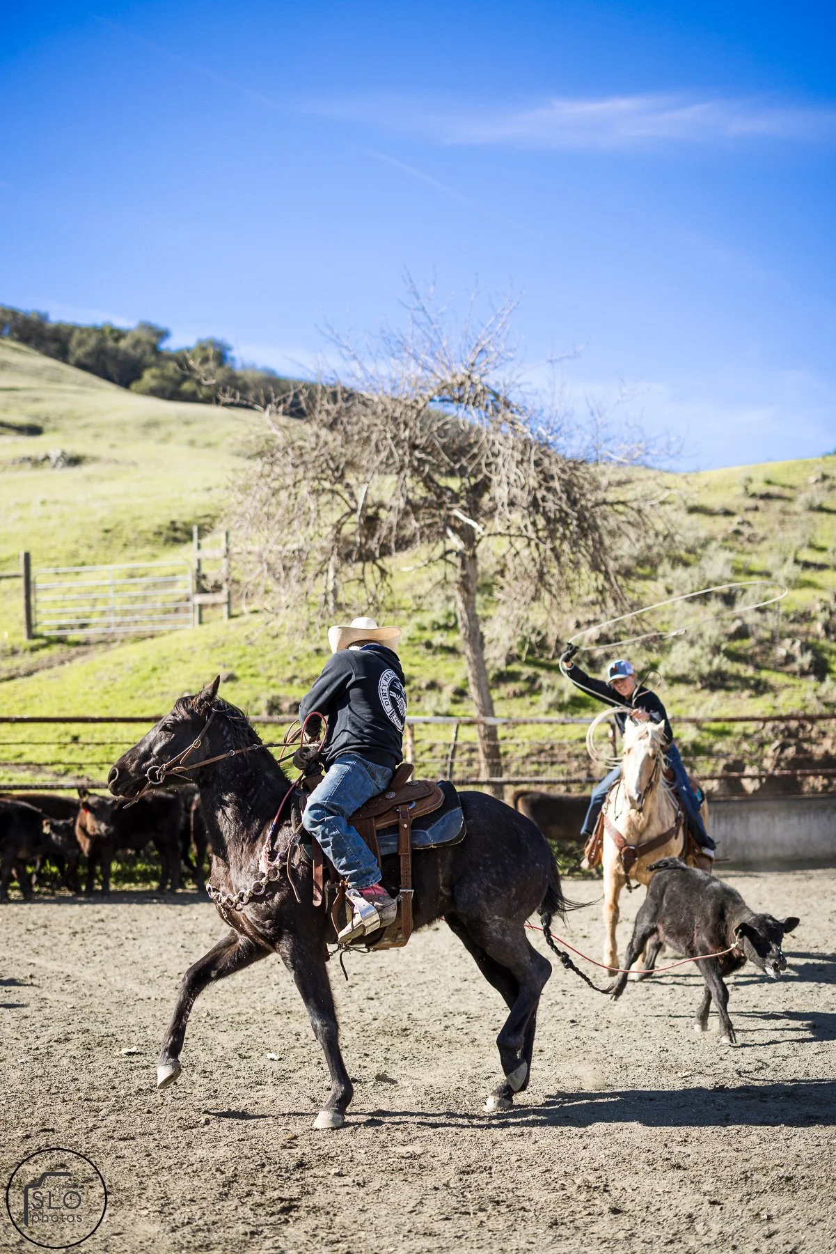 2026 CTC Branding-175.jpg