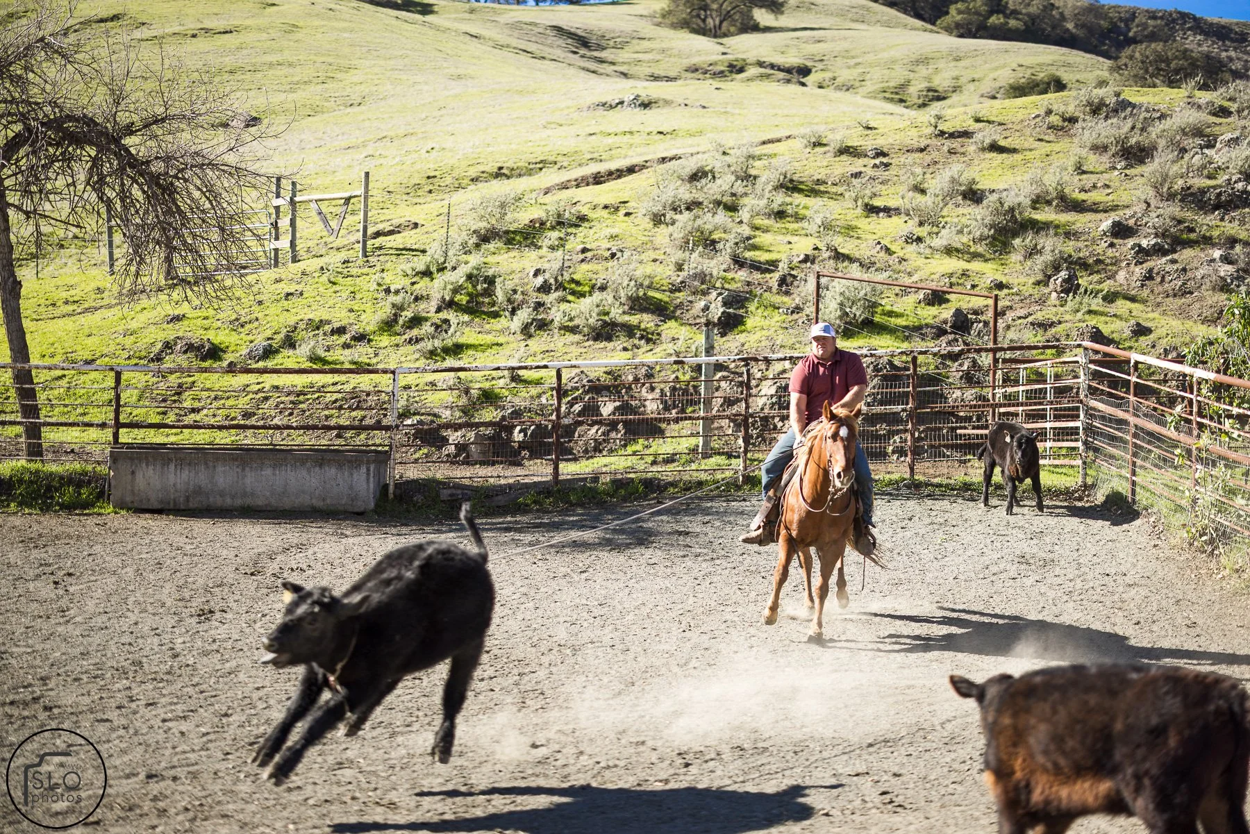 2026 CTC Branding-146.jpg