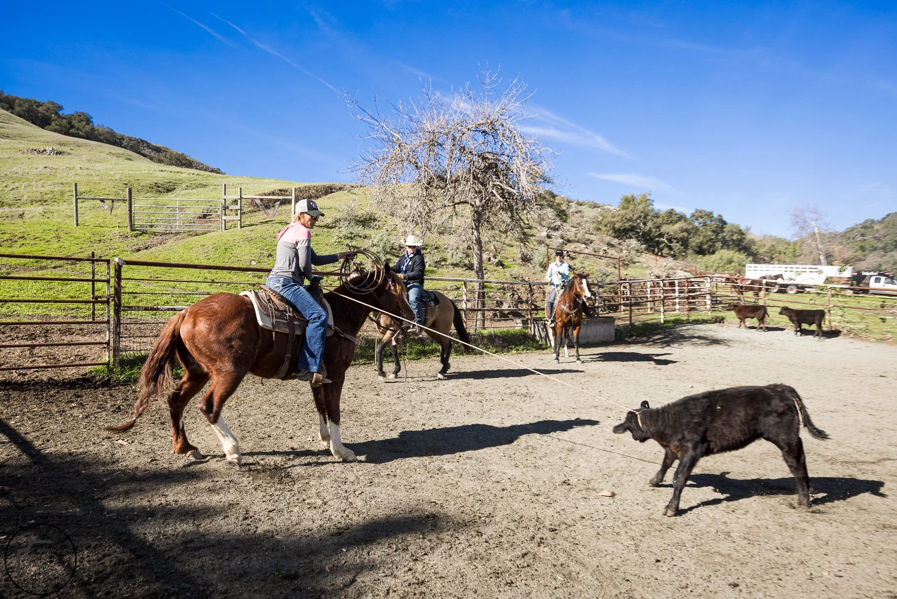 2026 CTC Branding-115.jpg