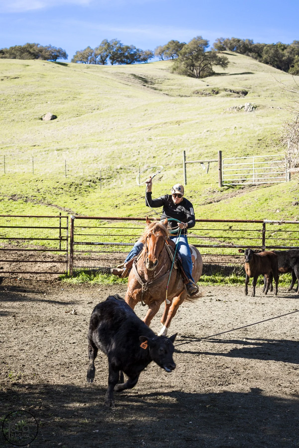 2026 CTC Branding-067.jpg