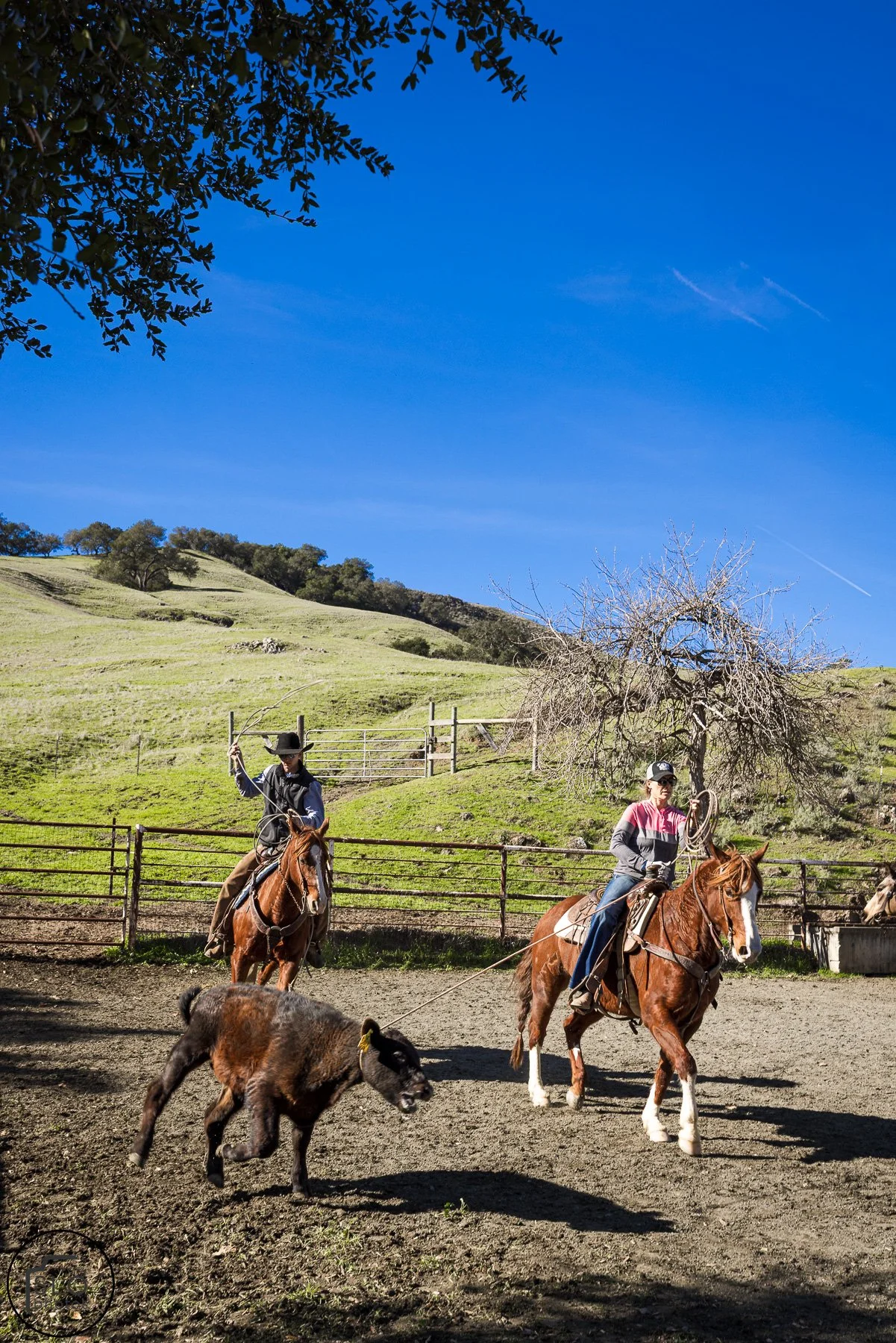 2026 CTC Branding-106.jpg