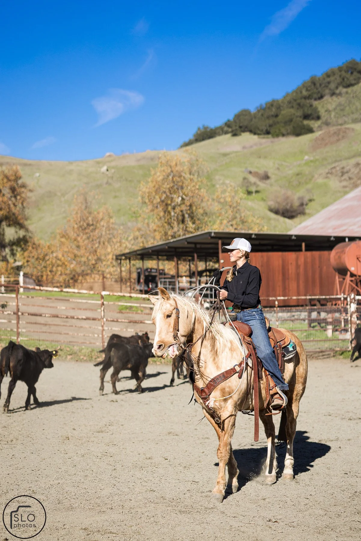 2026 CTC Branding-205.jpg