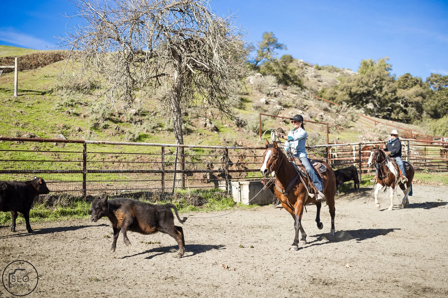 2026 CTC Branding-054.jpg