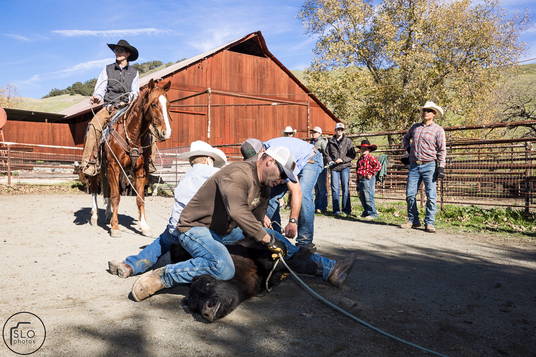 2026 CTC Branding-114.jpg