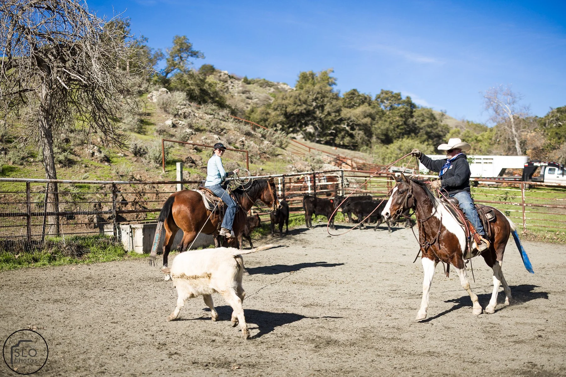 2026 CTC Branding-047.jpg