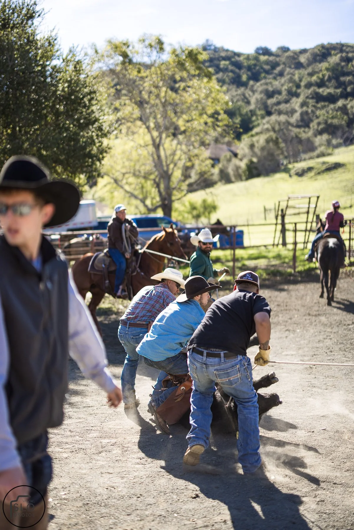 2026 CTC Branding-151.jpg