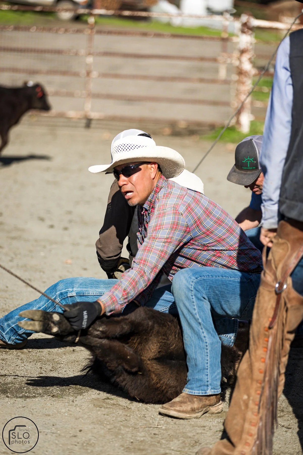 2026 CTC Branding-008.jpg