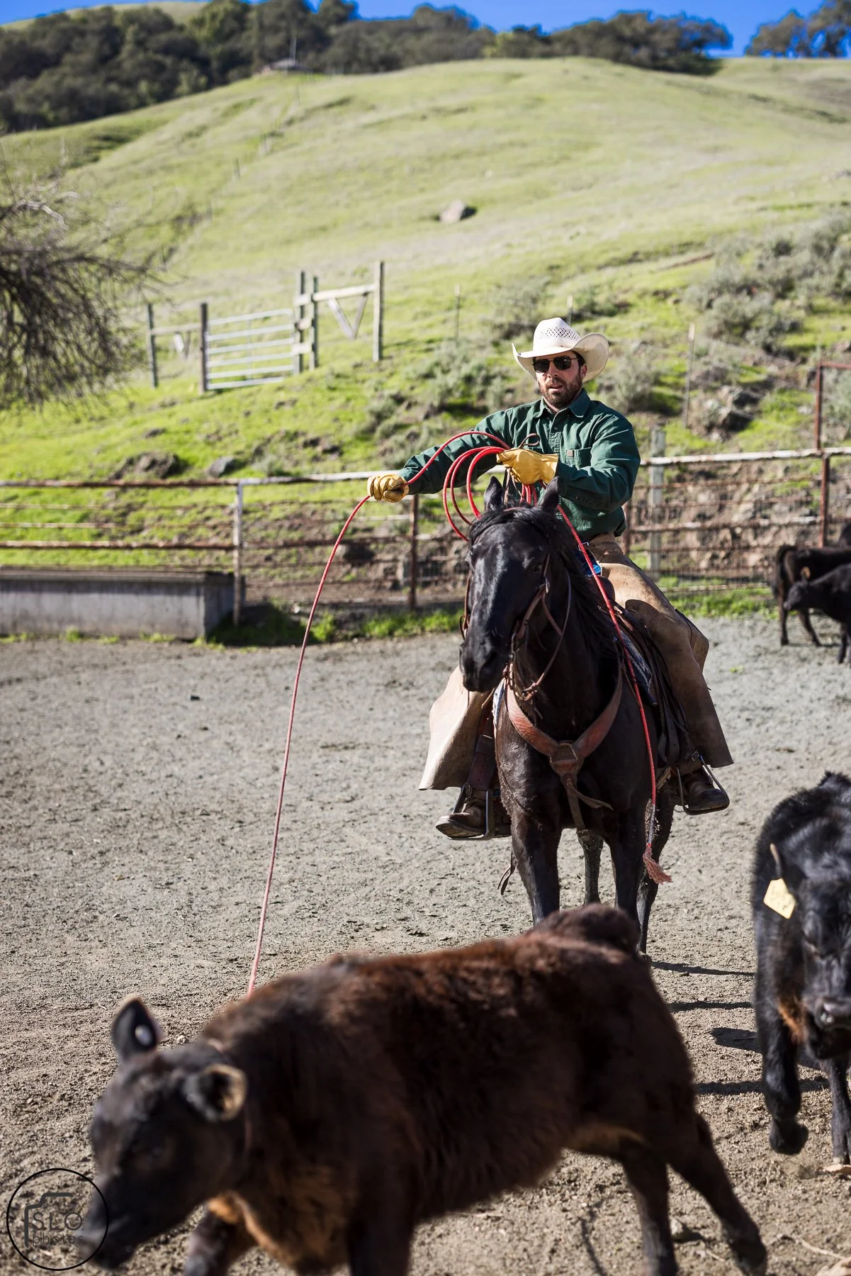 2026 CTC Branding-028.jpg