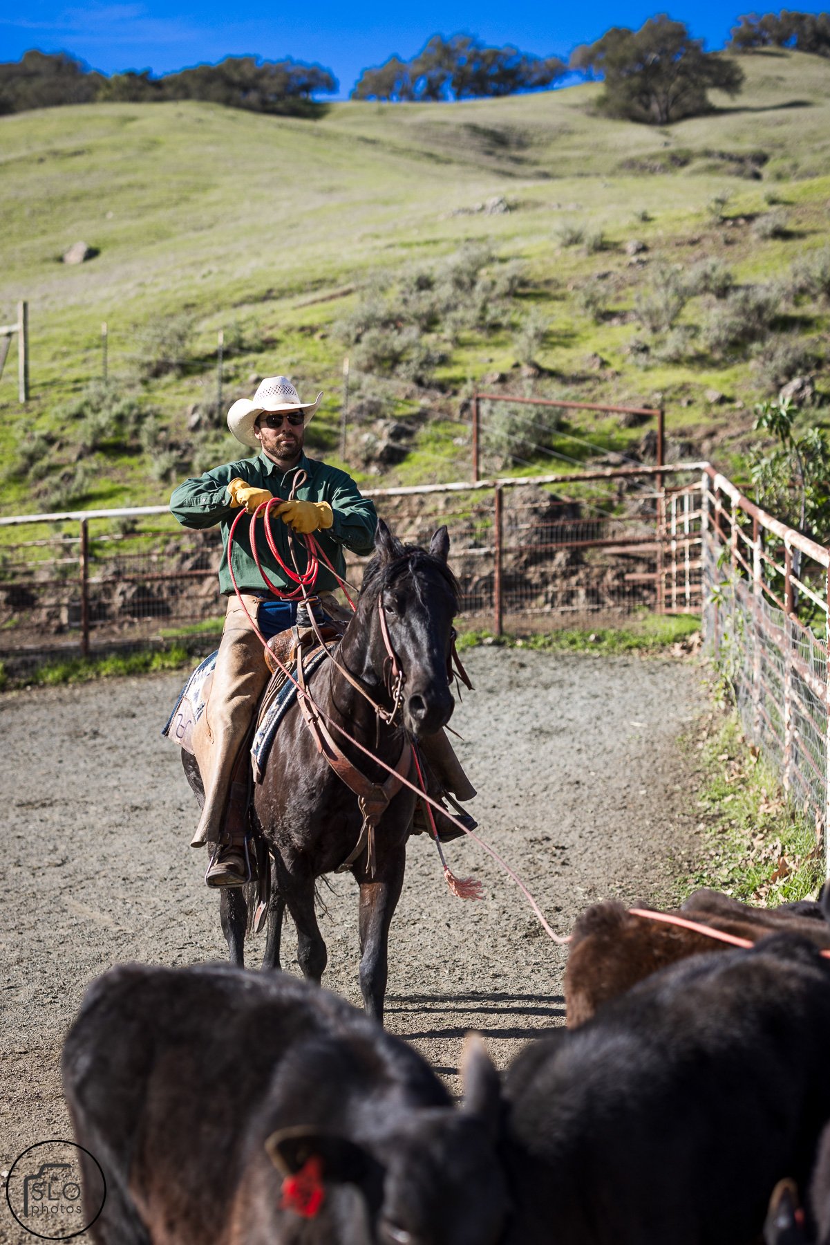 2026 CTC Branding-025.jpg