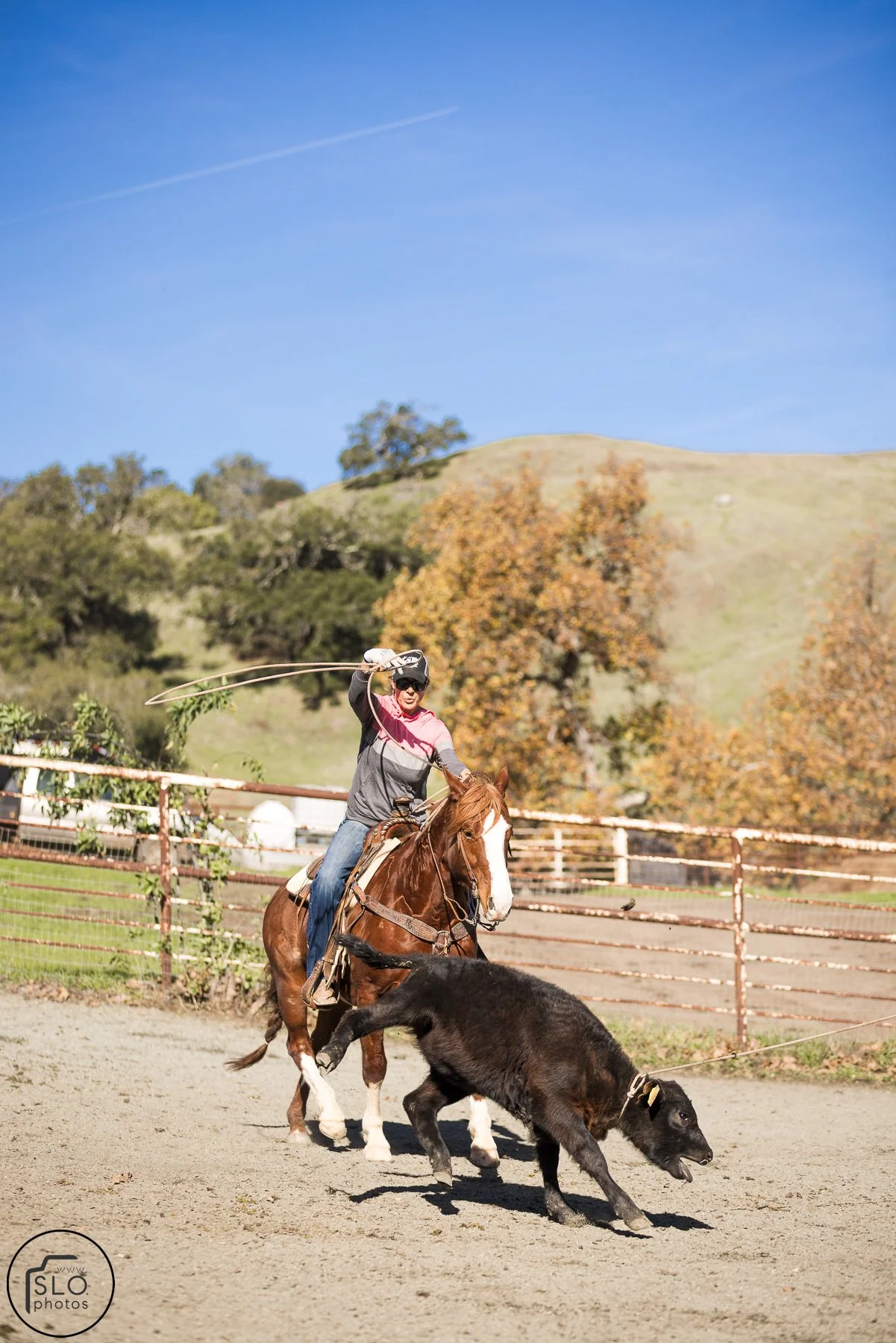 2026 CTC Branding-085.jpg