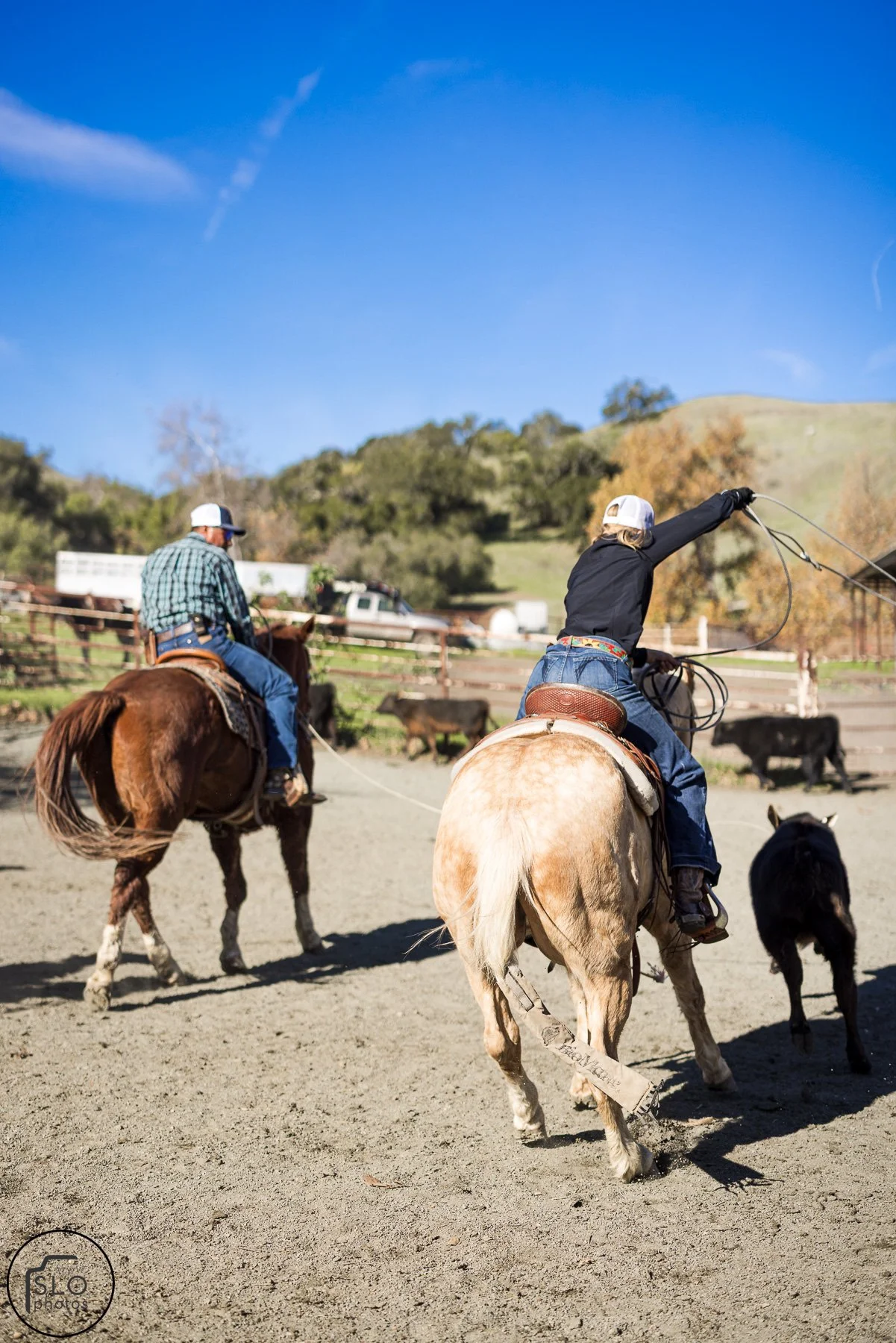 2026 CTC Branding-216.jpg