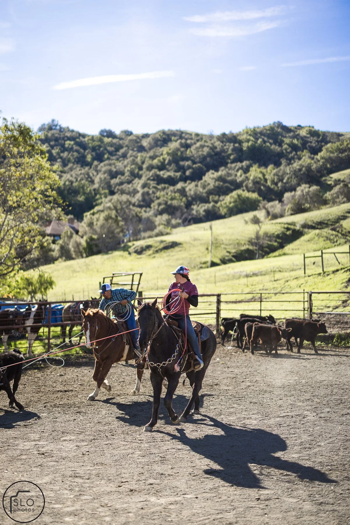 2026 CTC Branding-154.jpg