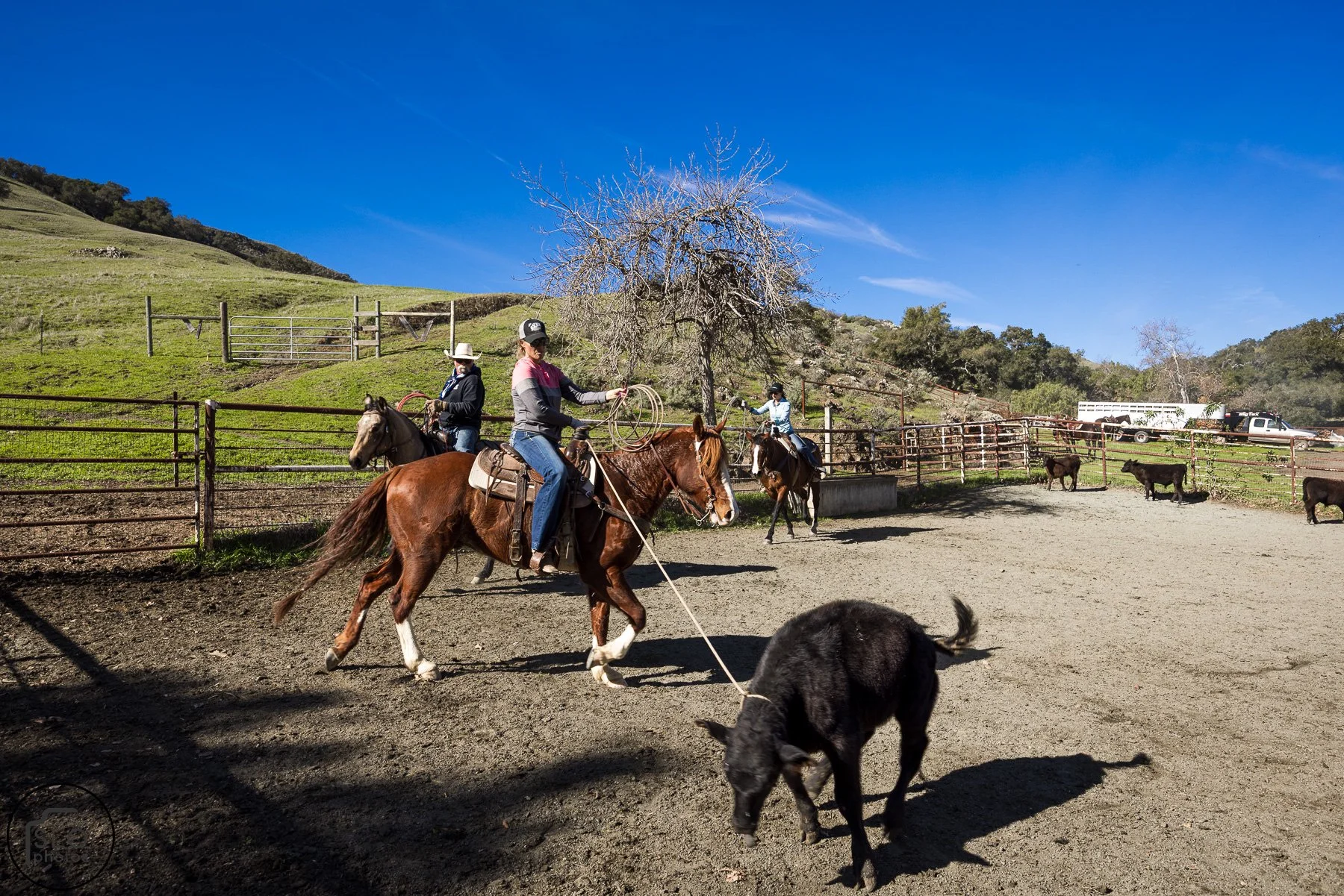 2026 CTC Branding-116.jpg