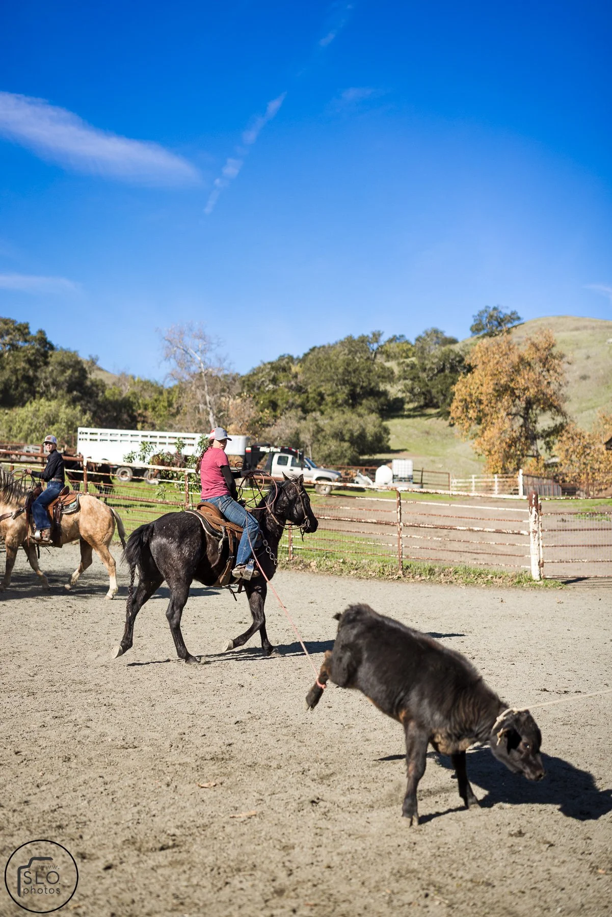 2026 CTC Branding-218.jpg